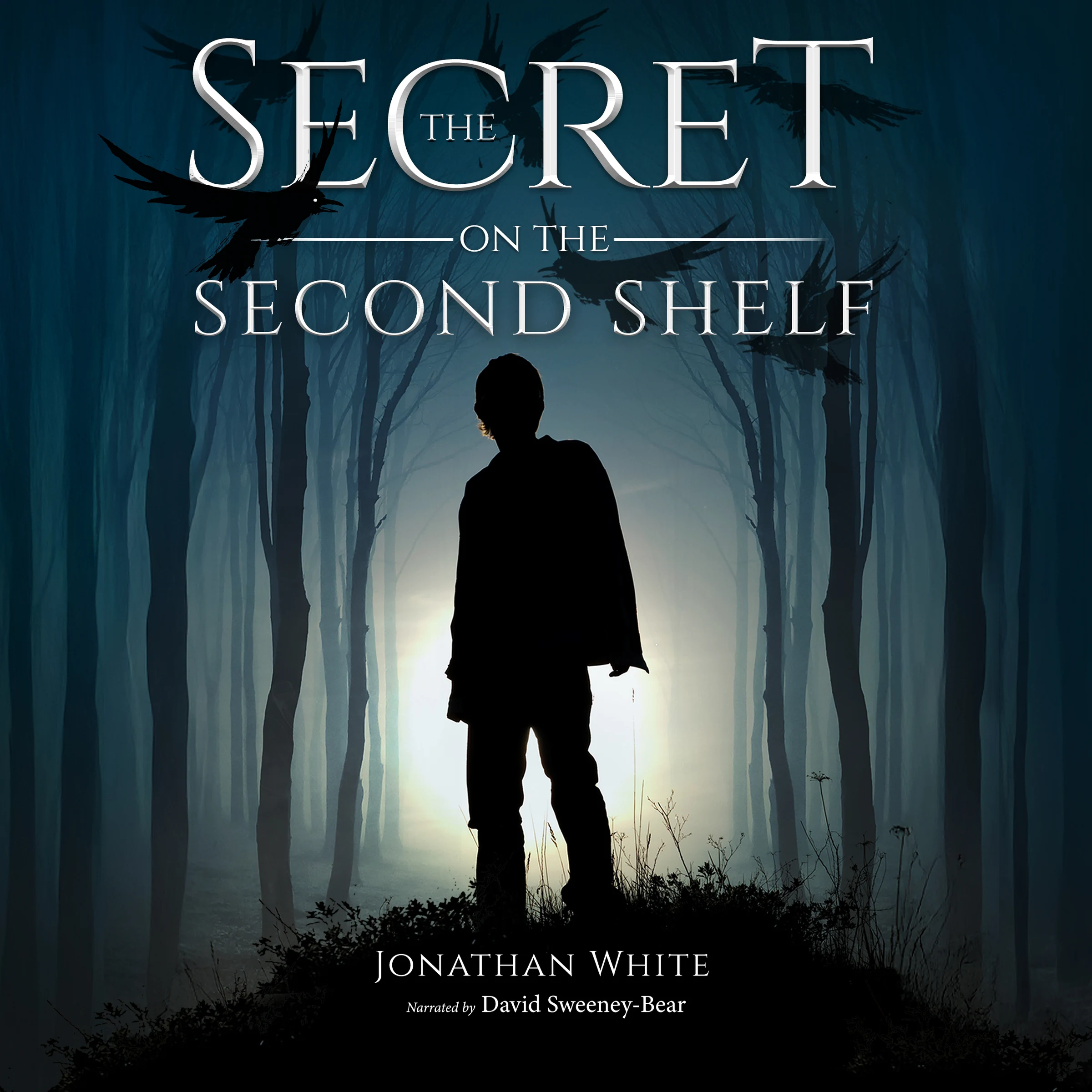 Audiobook cover for The Secret On The Second Shelf