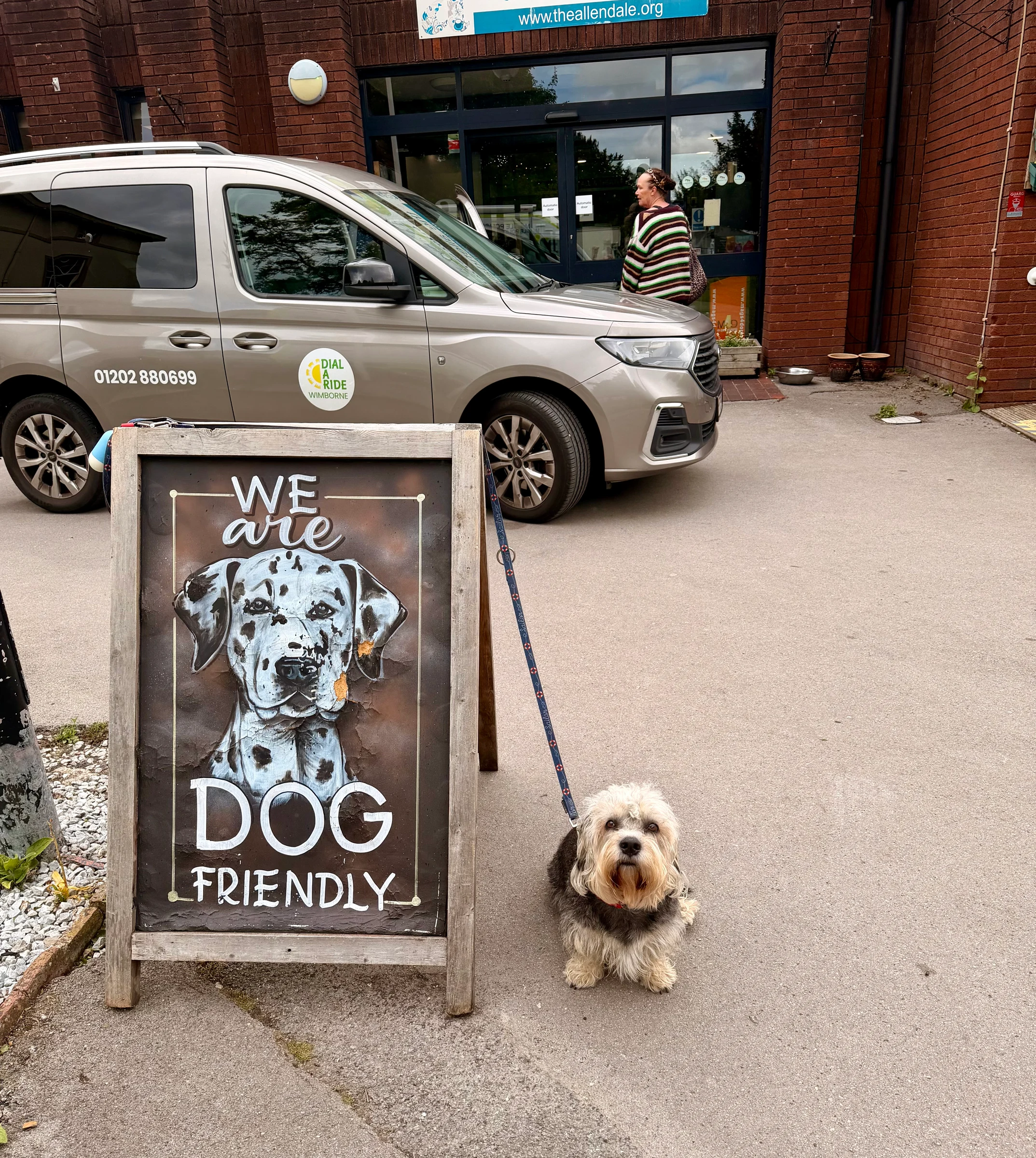 Ronnie the endangered Dandie Dinmont at the Allendale Community Centre. Waiting for the cheque presentation