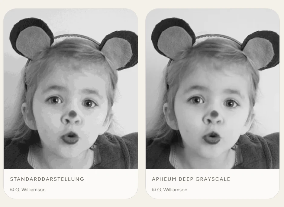 Side-by-side: standard E-Ink display vs. APHEUM Deep Grayscale - up to 255 grey levels. © G. Williamson