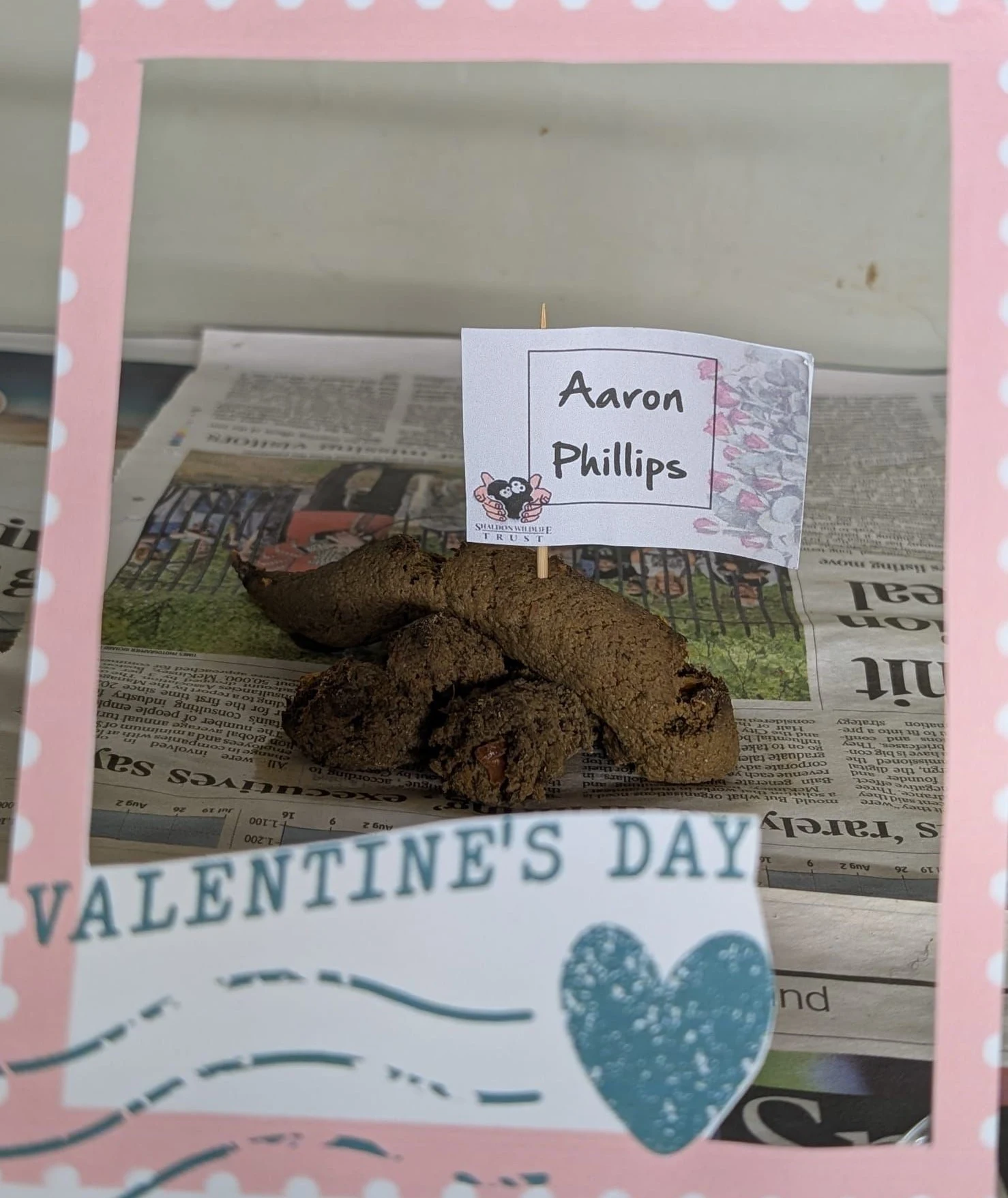 Love Stinks - But It Saves Wildlife - Valentines Poo at Shaldon Wildlife Trust