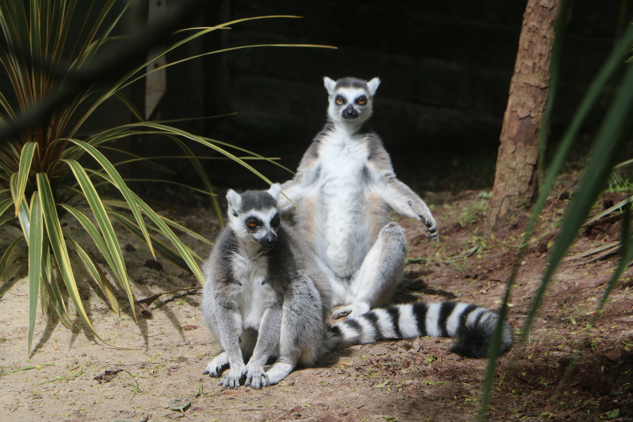 SHALDON WILDLIFE TRUST DECLARED A “CENTRE OF EXCELLENCE” WITH PRESTIGIOUS INTERNATIONAL ACCREDITATION