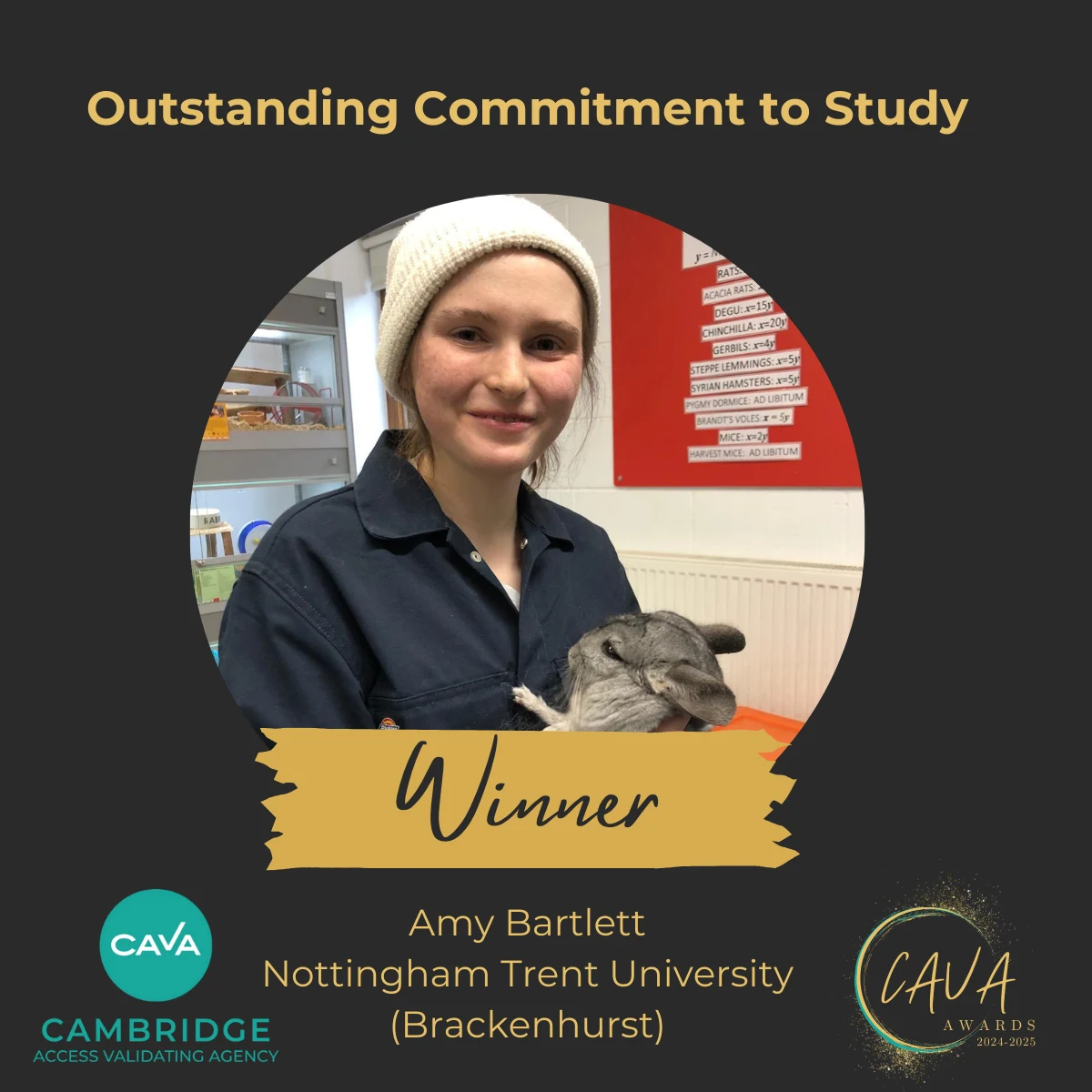 CAVA reveals 2024-25 Award winners, celebrating exceptional learners and the first Inspirational Tutor Award