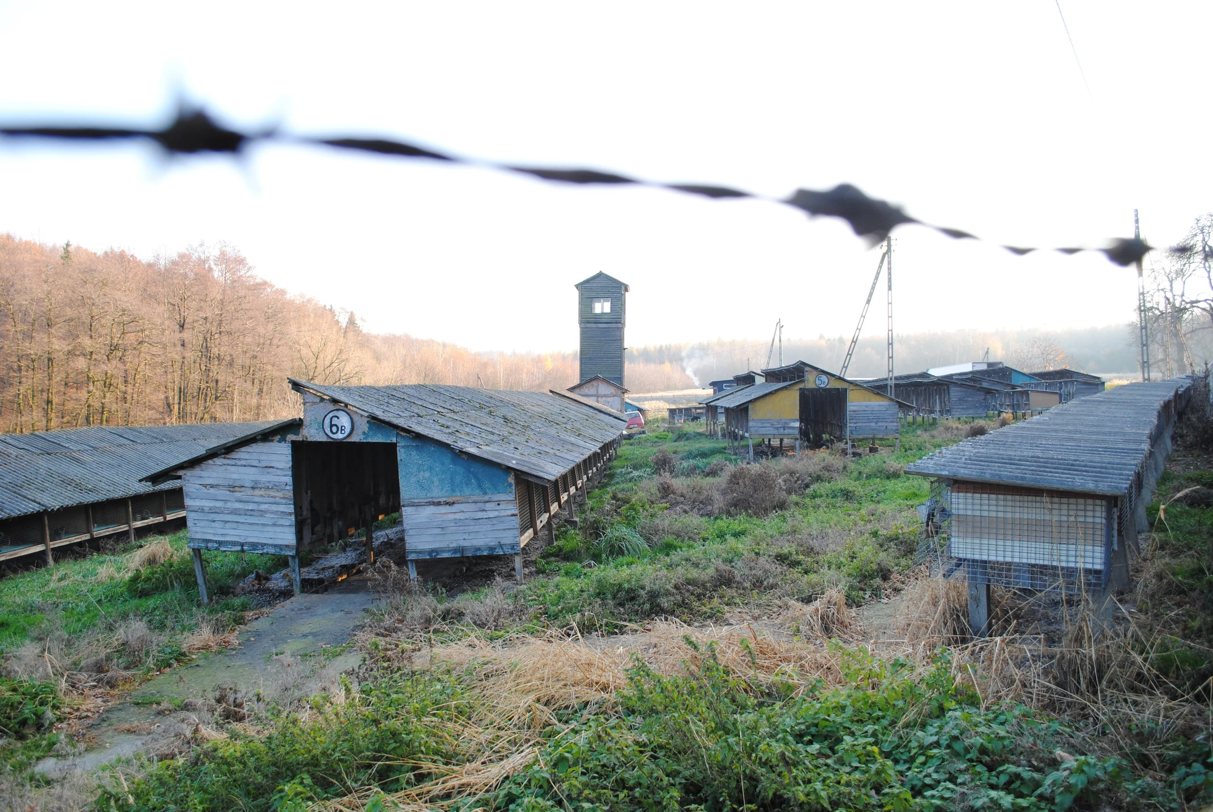 Fur farm