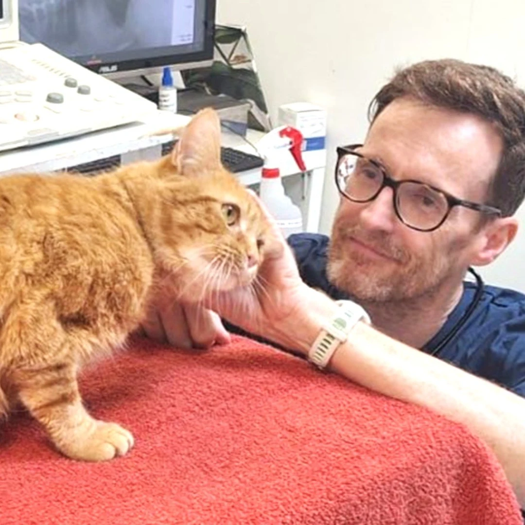 David Murphy - Vet at Celia Hammond Animal Trust