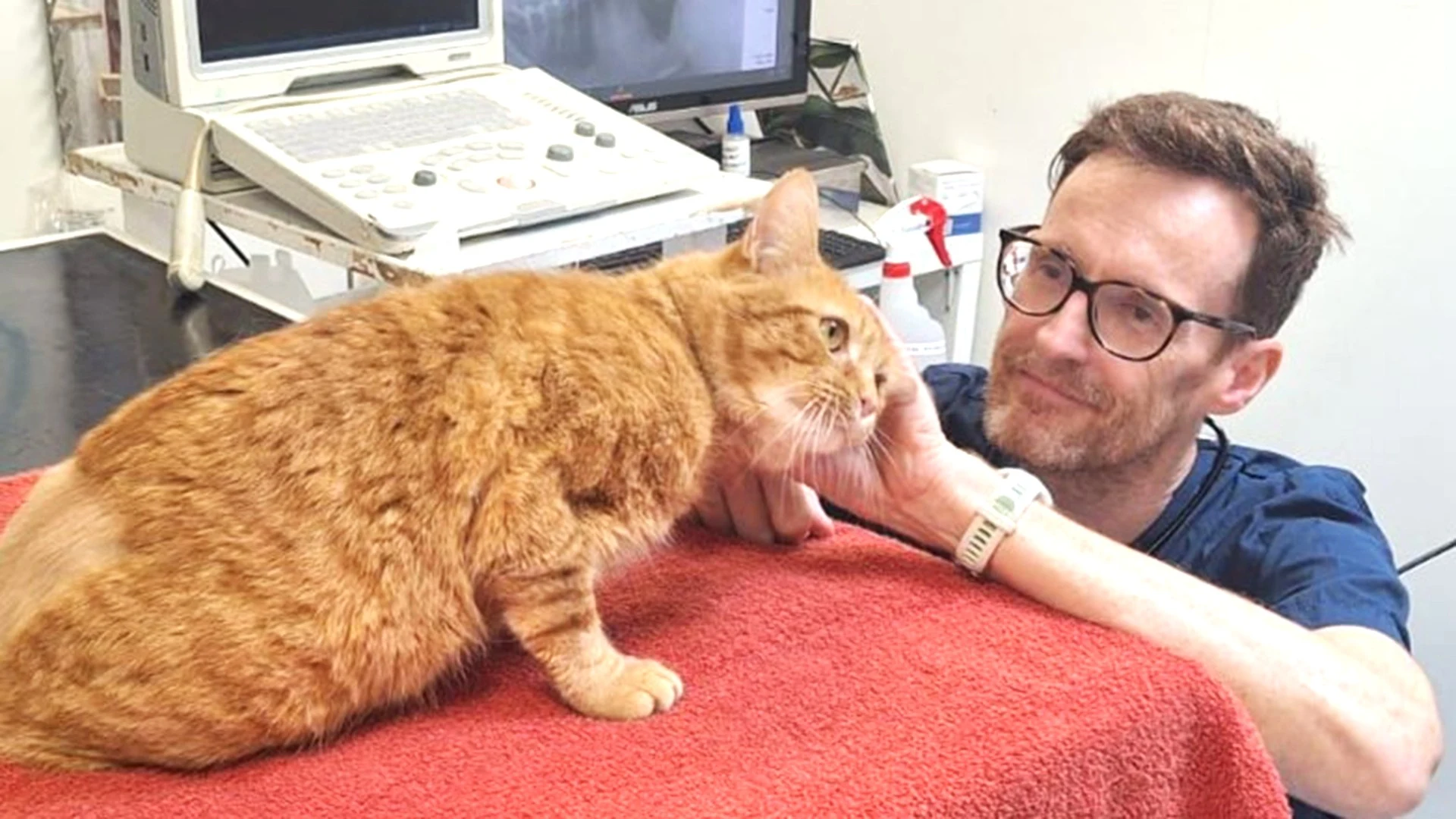 East London Charity Vet To Pound The City’s Streets To Raise Funds To Help Animals In Need