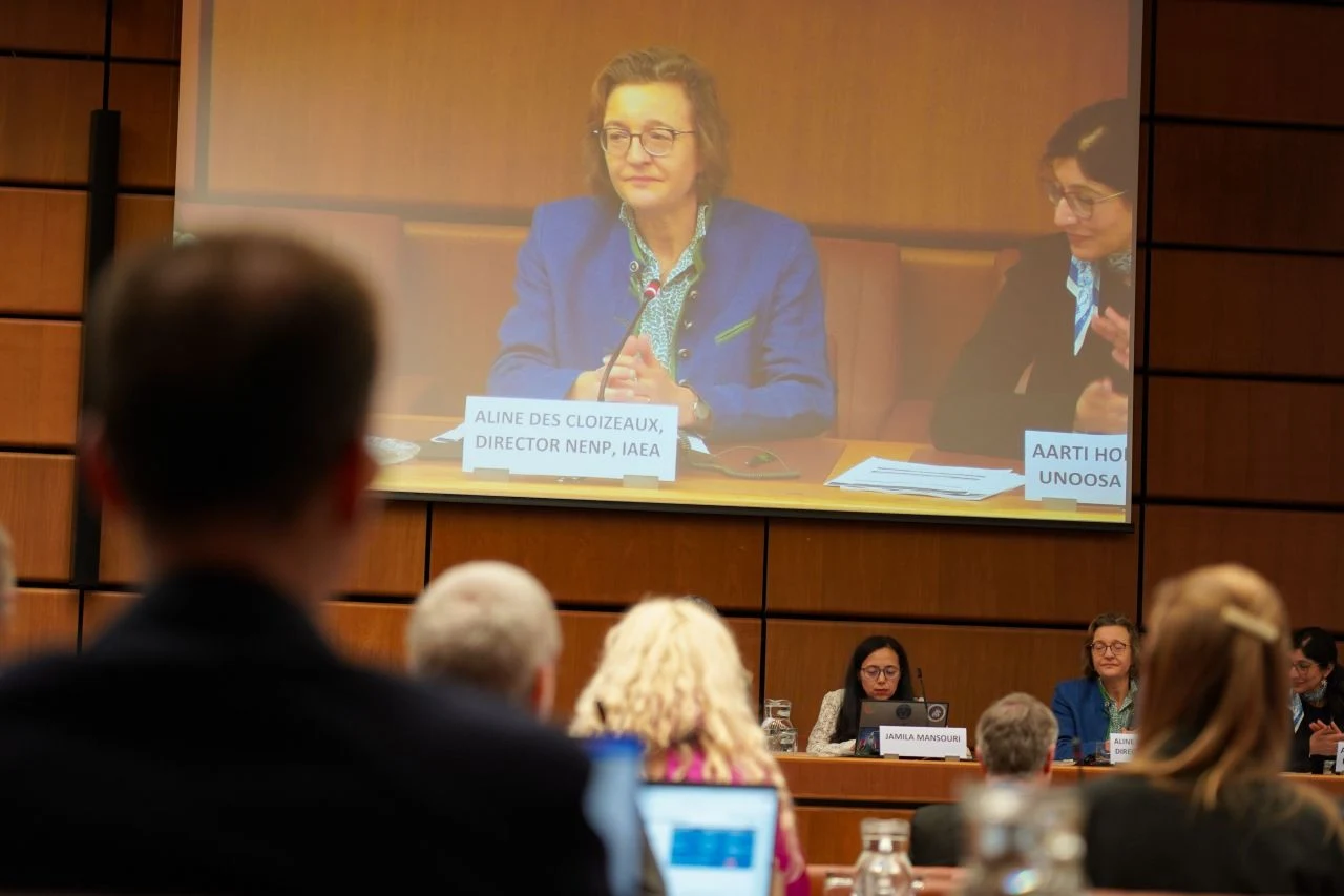 Harlette at IAEA UNOOSA Vienna UN Headquarters