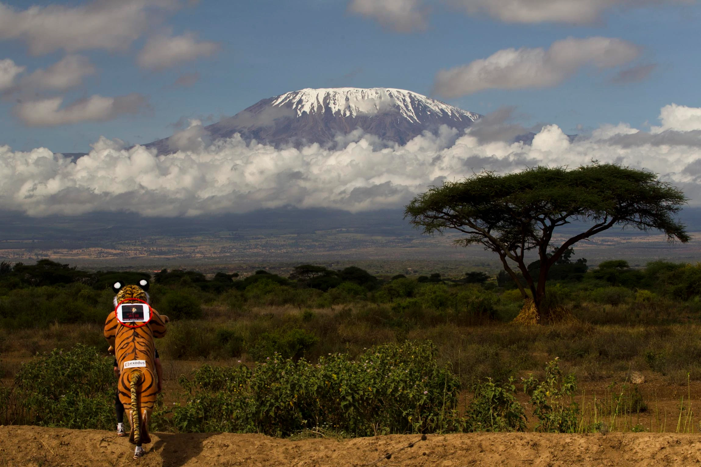 Kilimanjaro