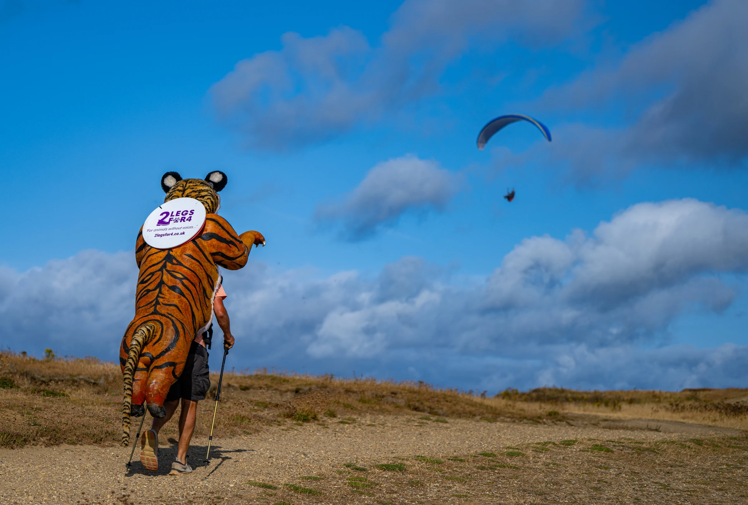 Paul Goldstein on the route in the tiger