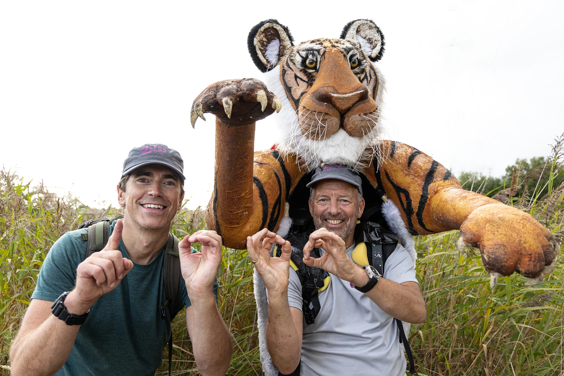 LOOK OUT, NORFOLK... THERE'S A 9FT TIGER HEADING YOUR WAY