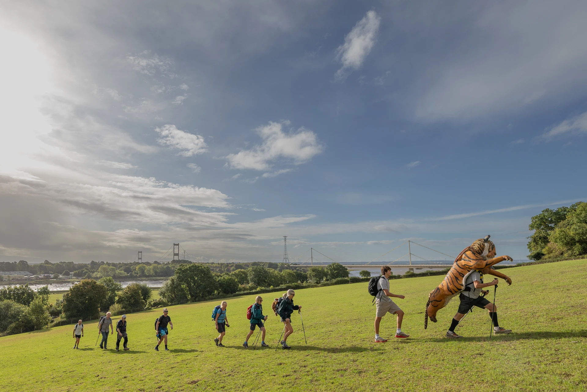 LOOK OUT, NORFOLK... THERE'S A 9FT TIGER HEADING YOUR WAY