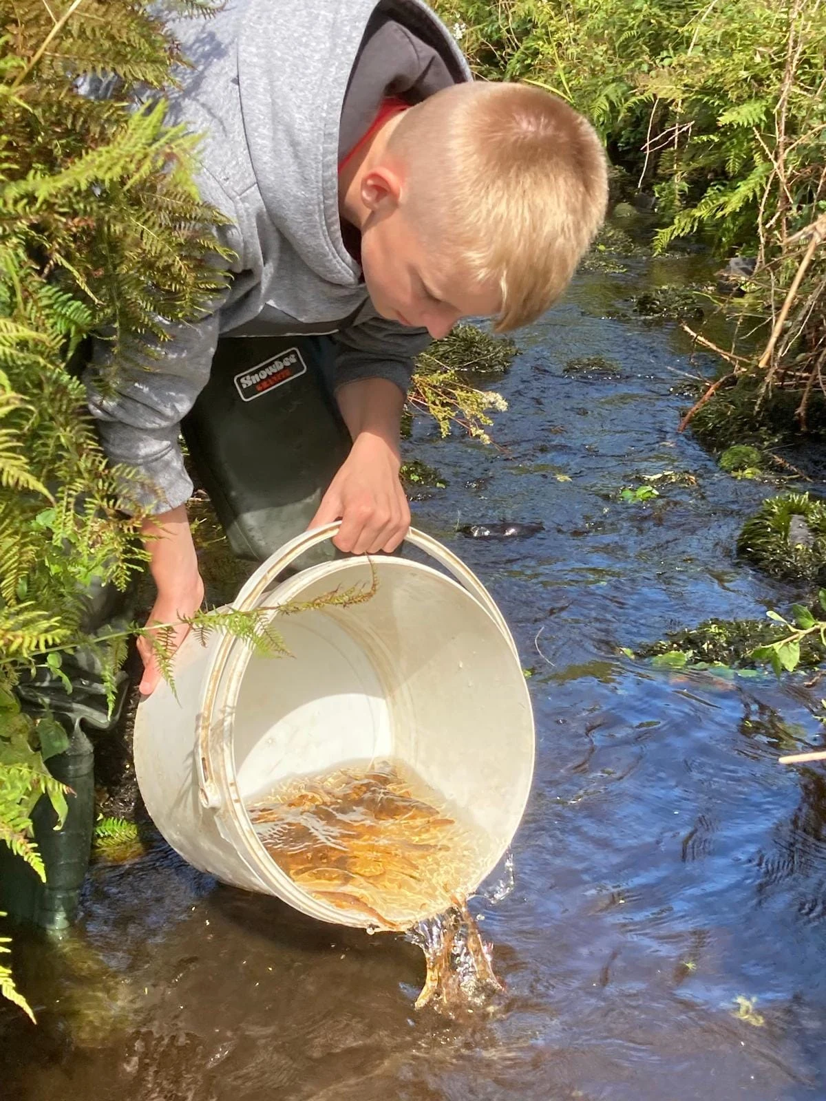 Winners of new Wild salmon river conservation award raise more than £44000