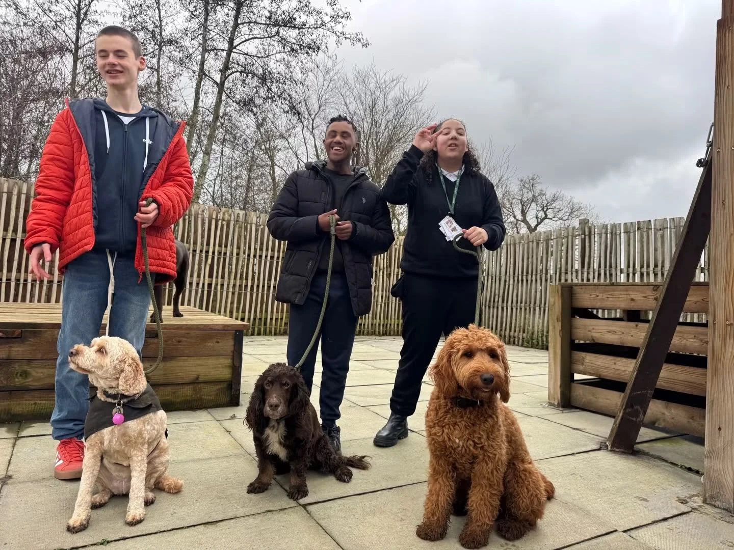 Alfie, an Oaktree School student, shares a moment with a dachshund at Halo Dogs in Enfield. Once so frightened of dogs that he would cross the road