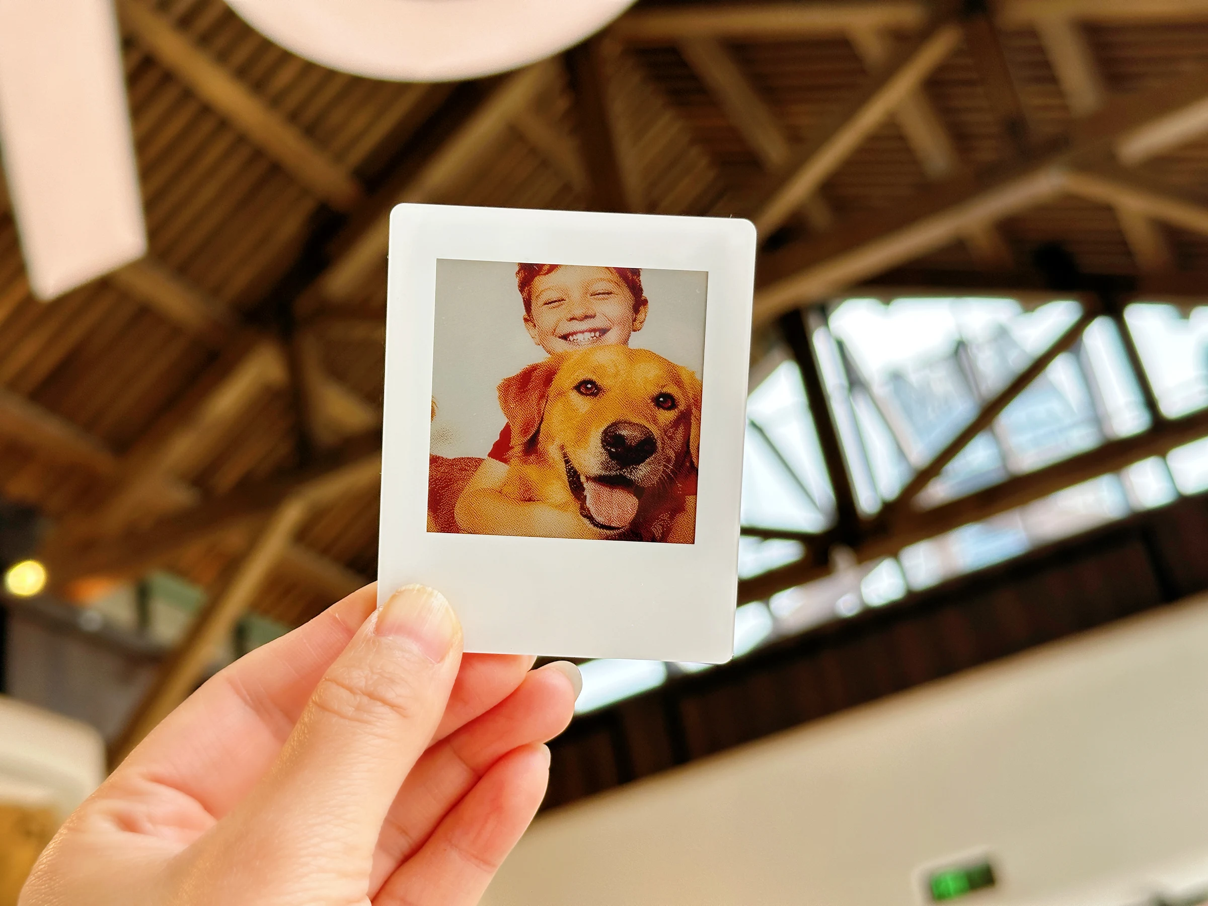 VidaBay E Ink Fridge Magnets | Boy & Dog