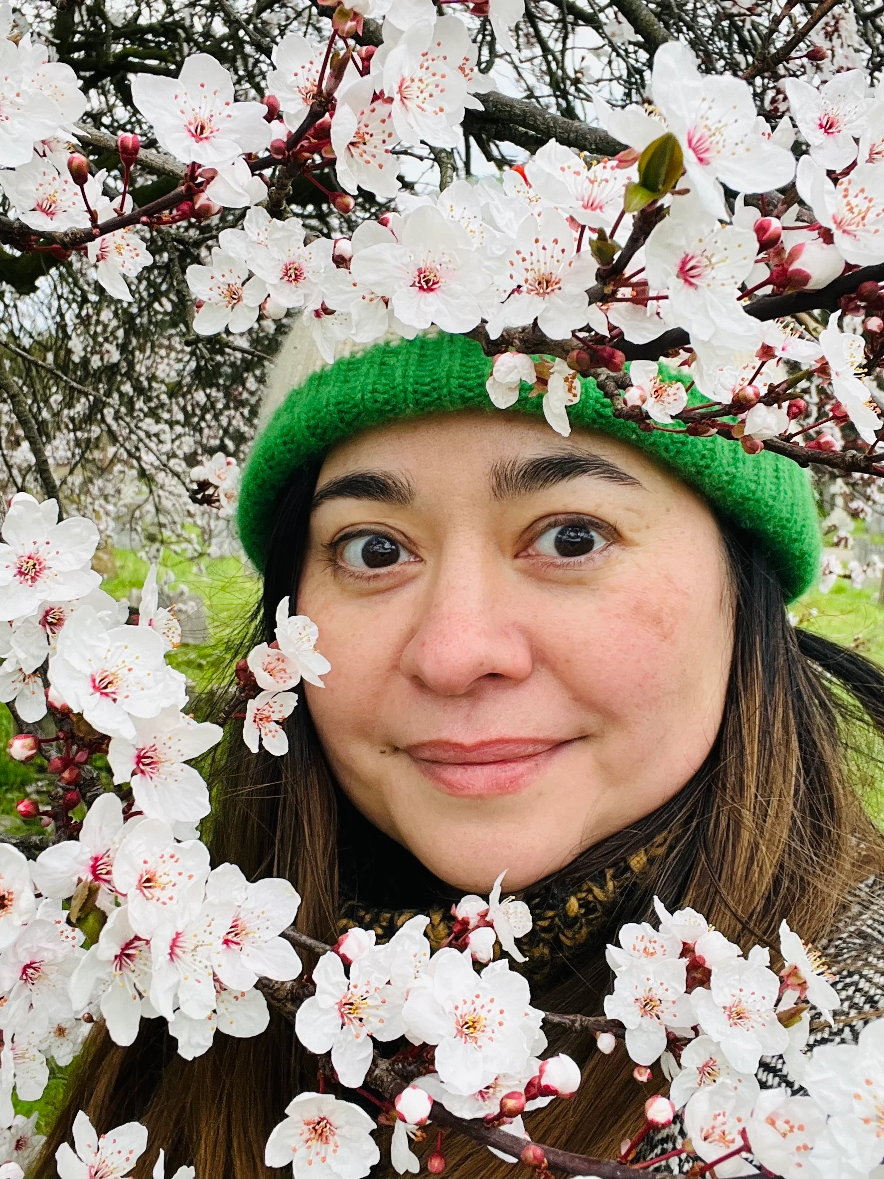 Launch speaker: Hana Sutch