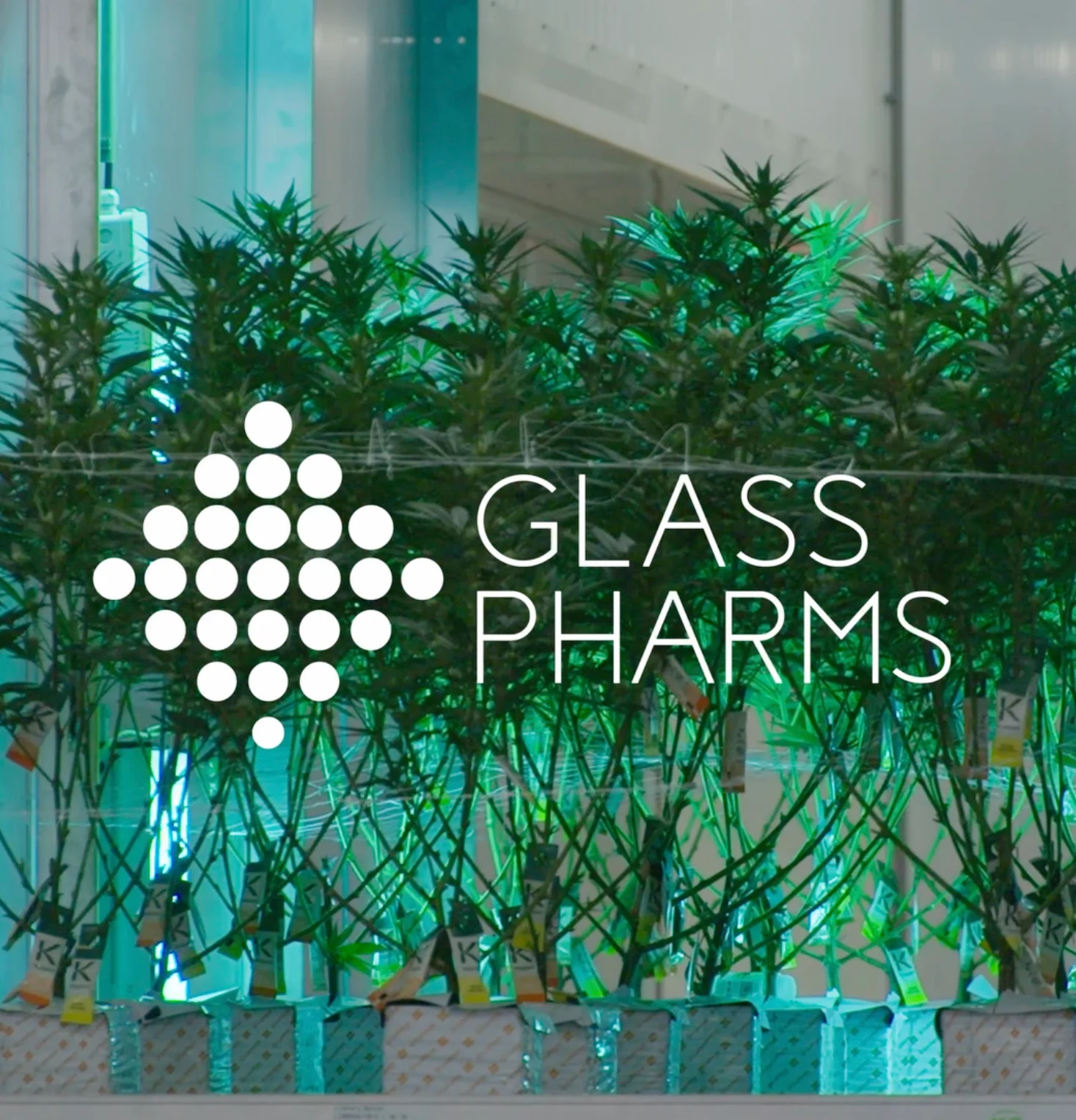 Glass Pharms announces new supply agreement with Integro Clinic & IPS Pharmacy