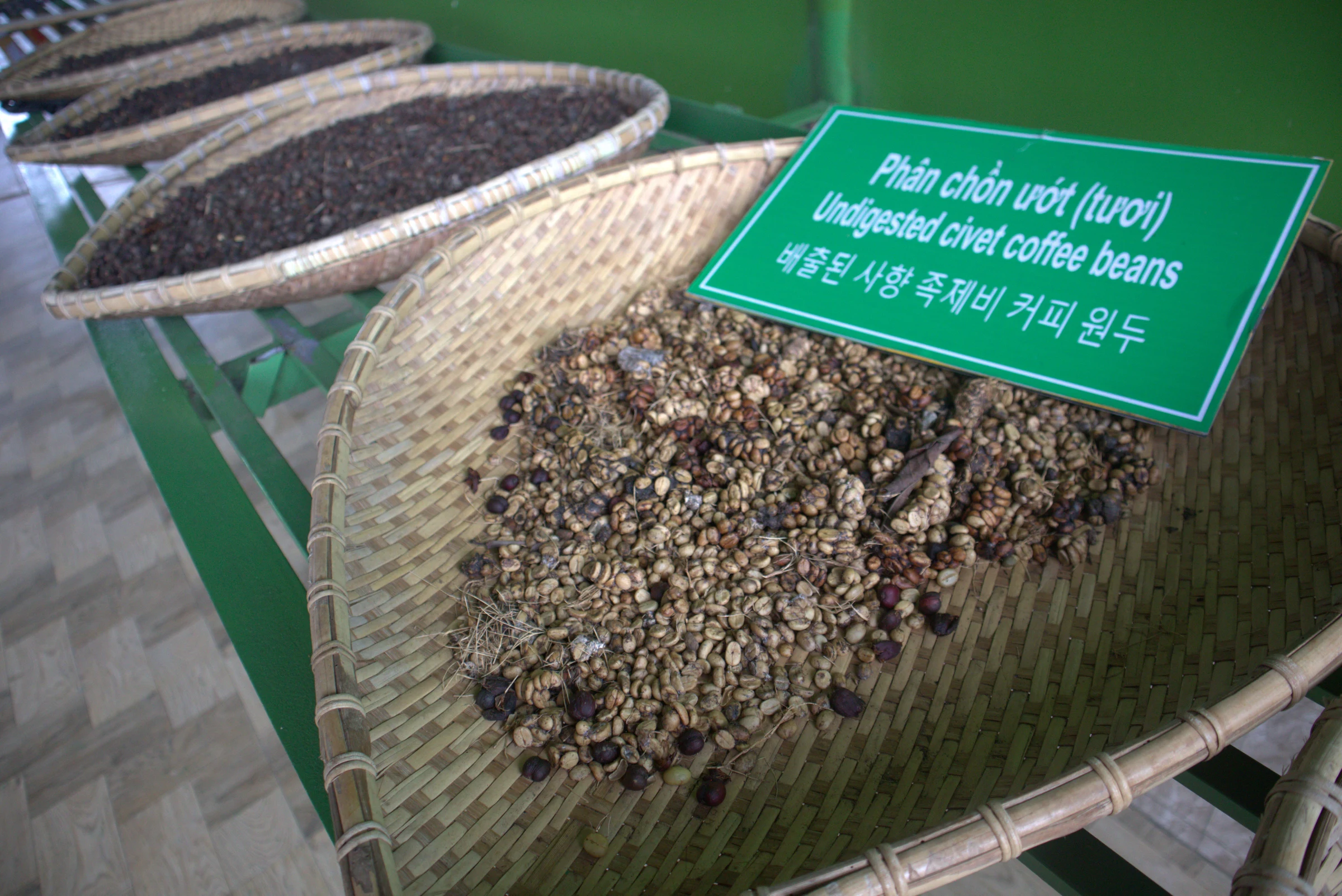 civet scat