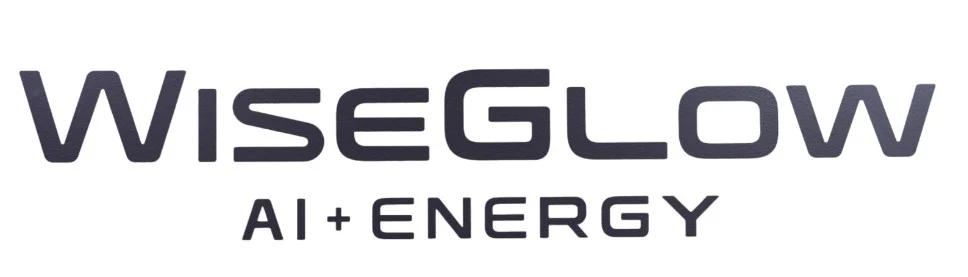 WiseGlow Platform: Logo