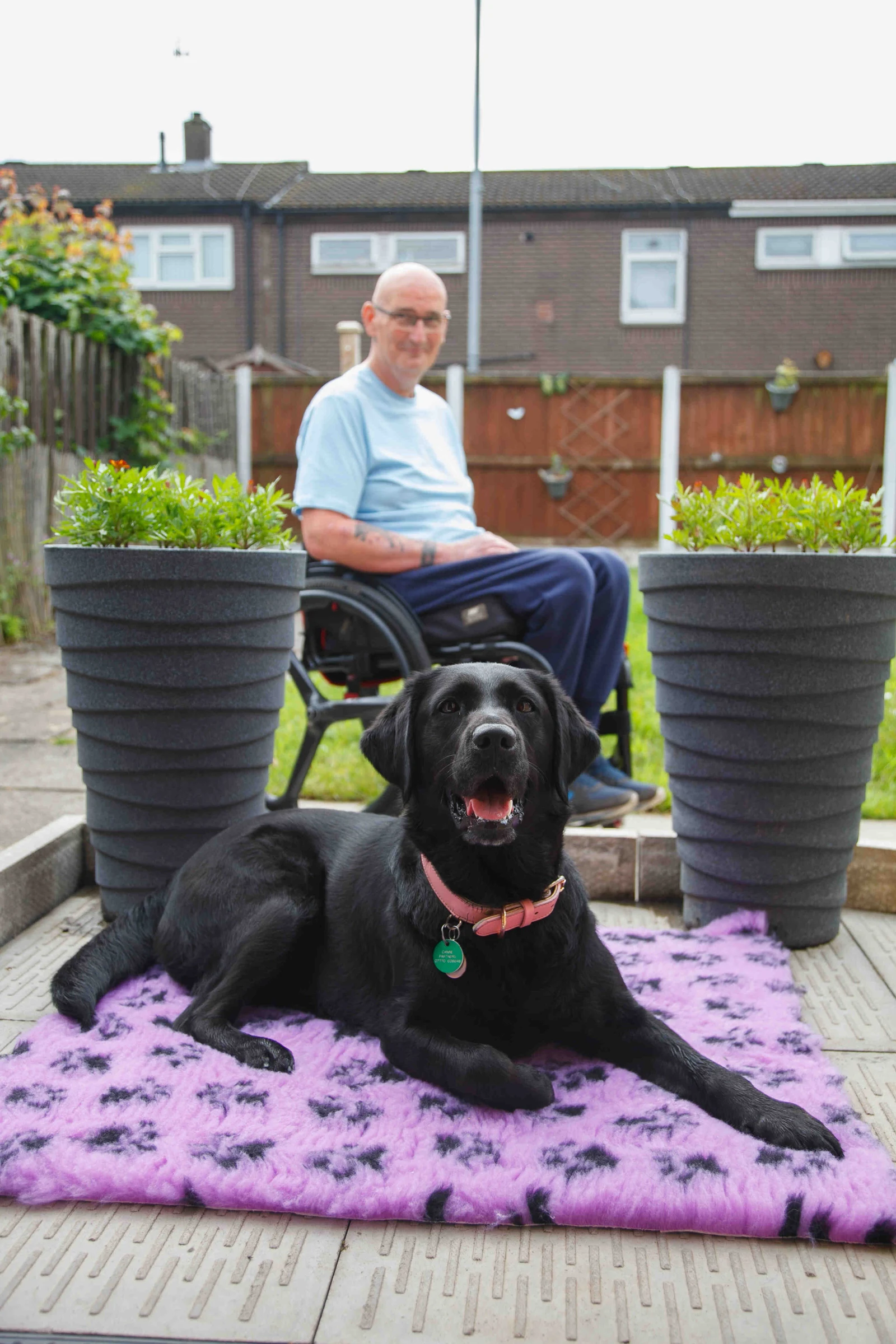 Tea for two… and one for the dog! Charity hosts dog-friendly afternoon tea to support life-changing assistance dogs