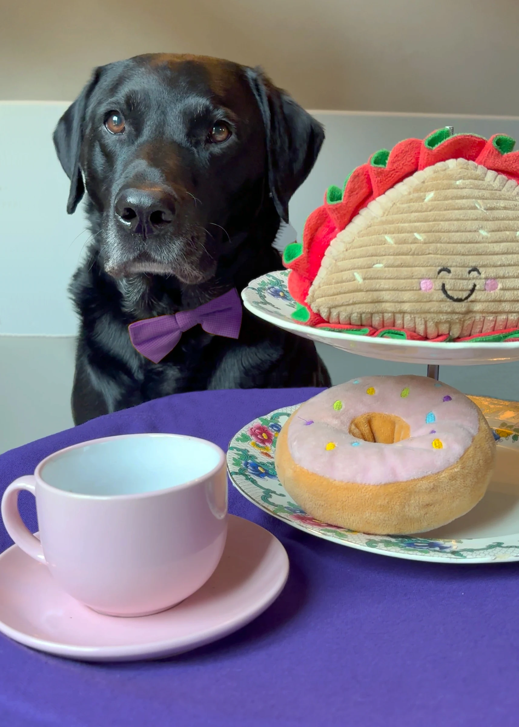 Tea for two… and one for the dog! Charity hosts dog-friendly afternoon tea to support life-changing assistance dogs