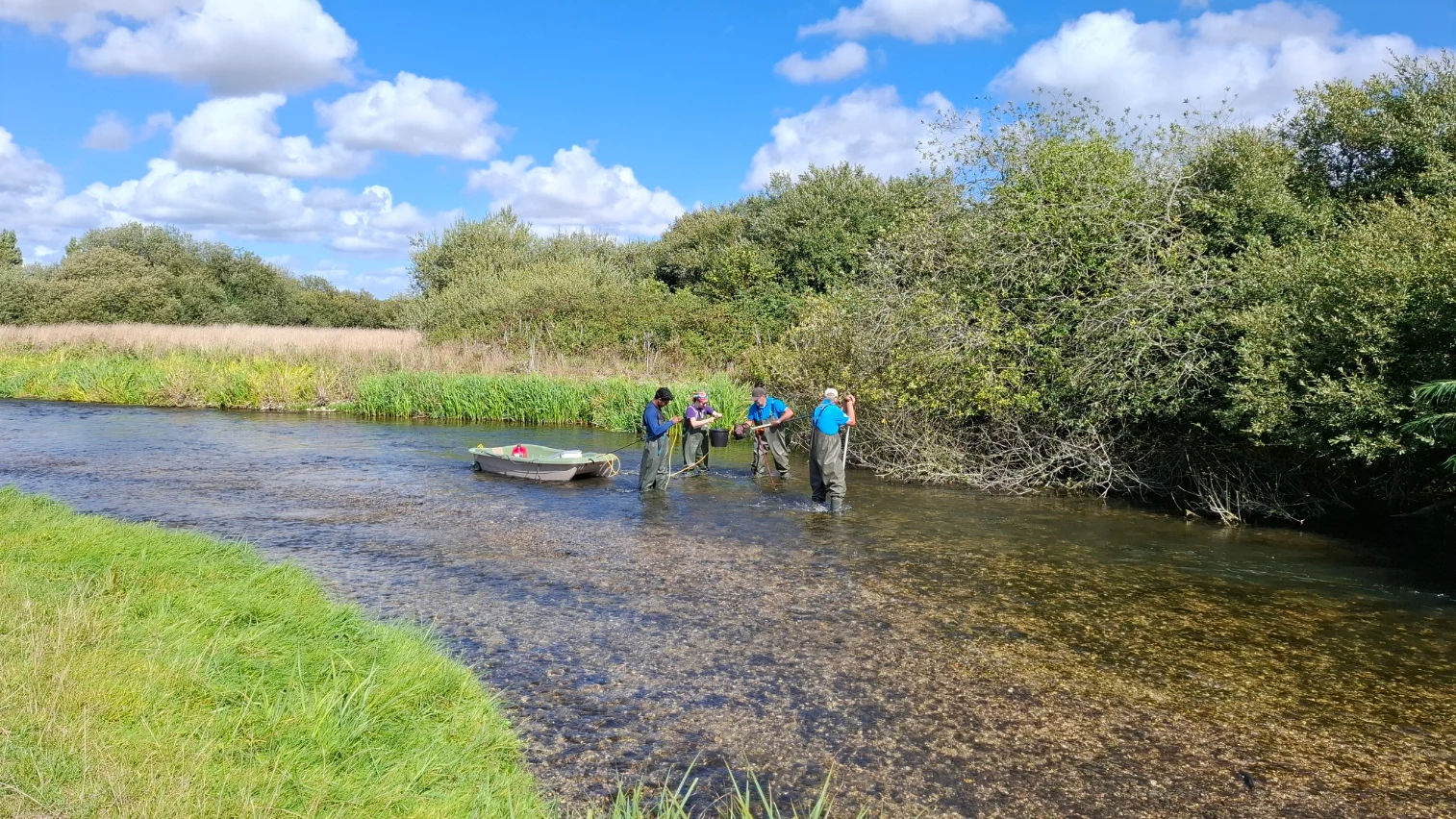 GWCT team salmon parr tagging on the river Frome in Dorset. c.GWCT