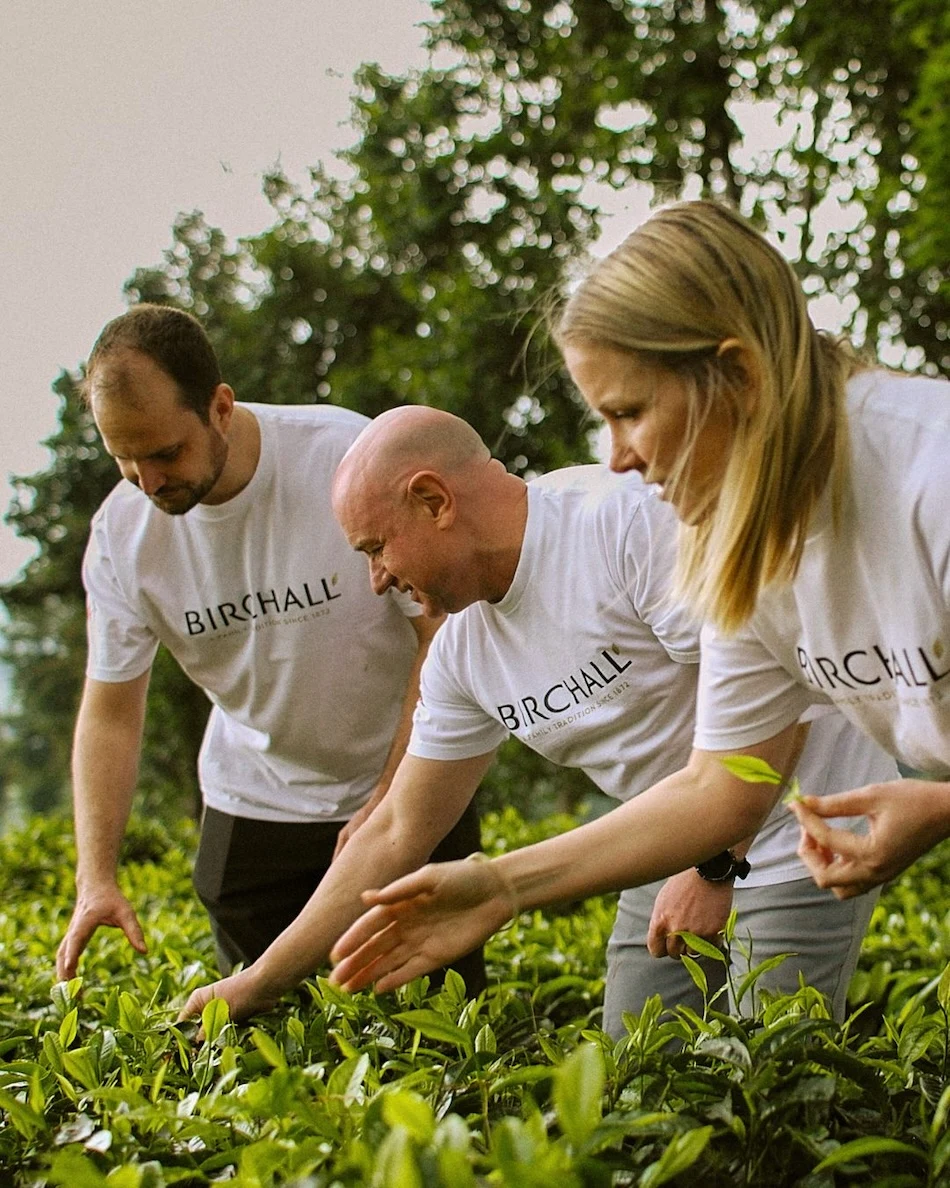 Can tea have its coffee moment?