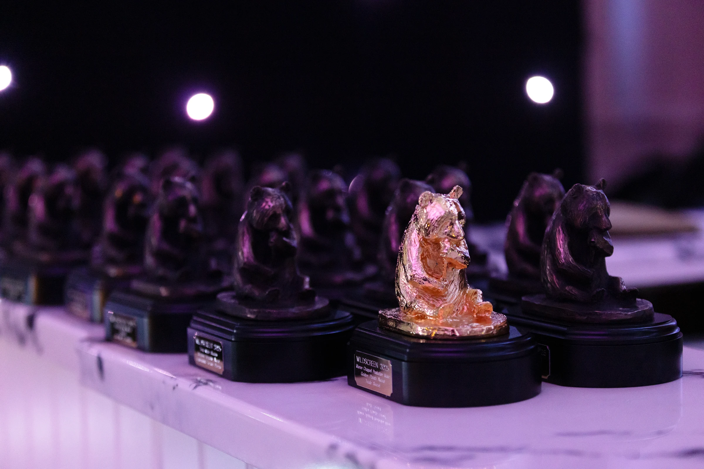 Wildscreen Panda Award Trophies
