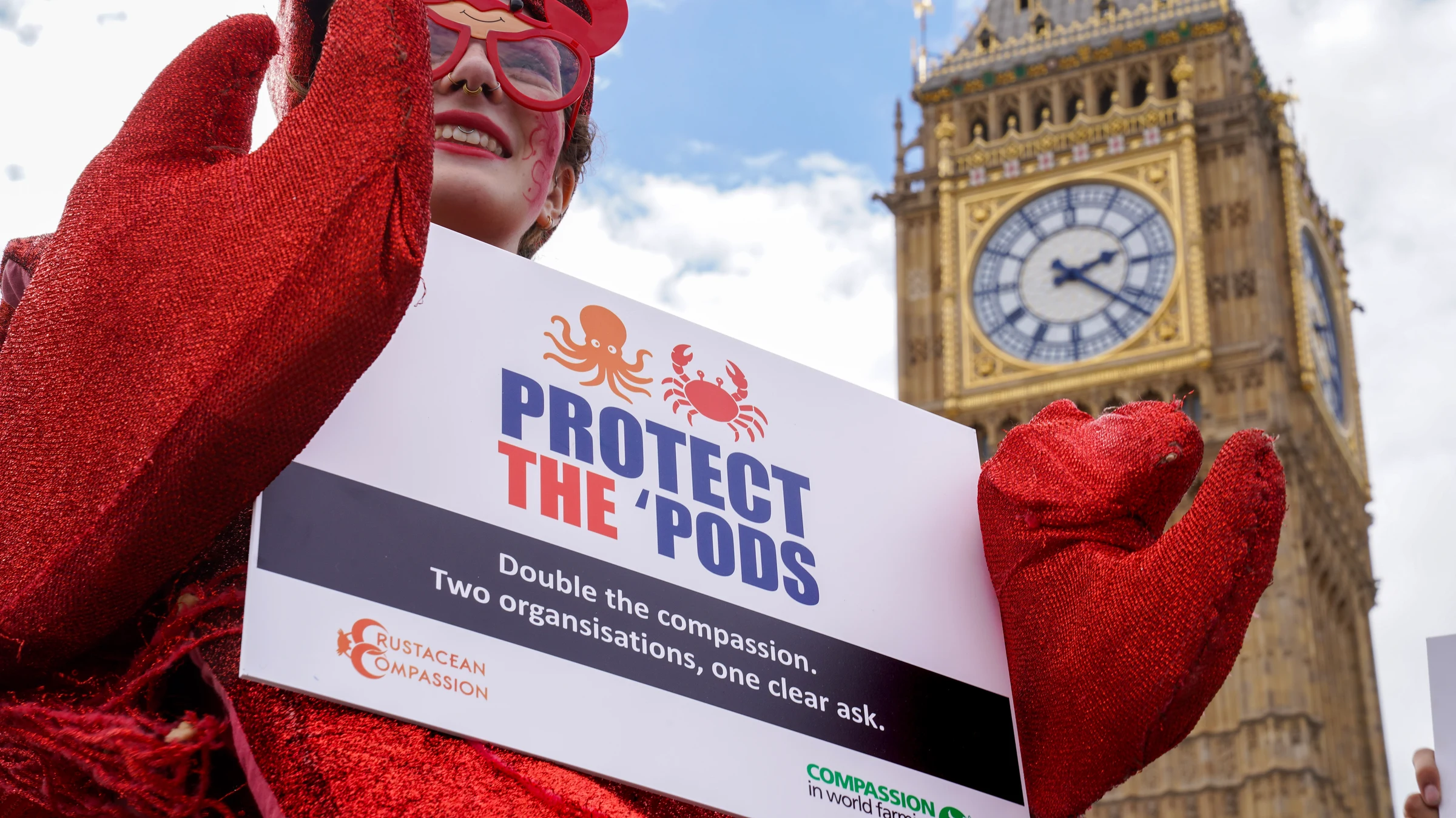 Giant lobster and octopus descend on Westminster as charities call on government to 'get its acts together' for sentient animals