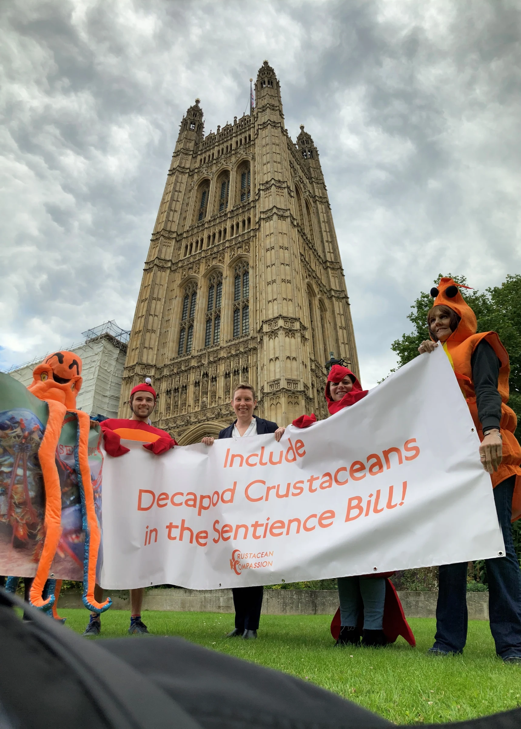 Campaigners support crustacean inclusion in Sentience Bill in 2021