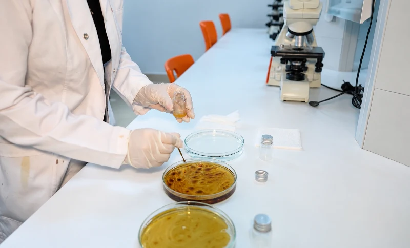 Alkagesta-Backed Clean Caspian Startup Completes Phase I of Oil Spill Remediation Research