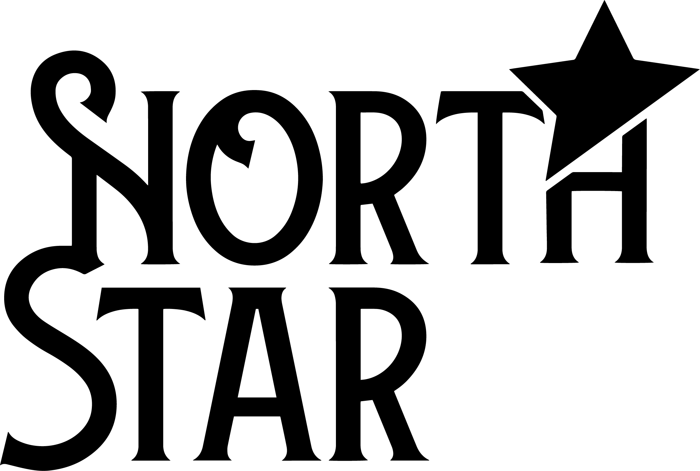 North Star Logo