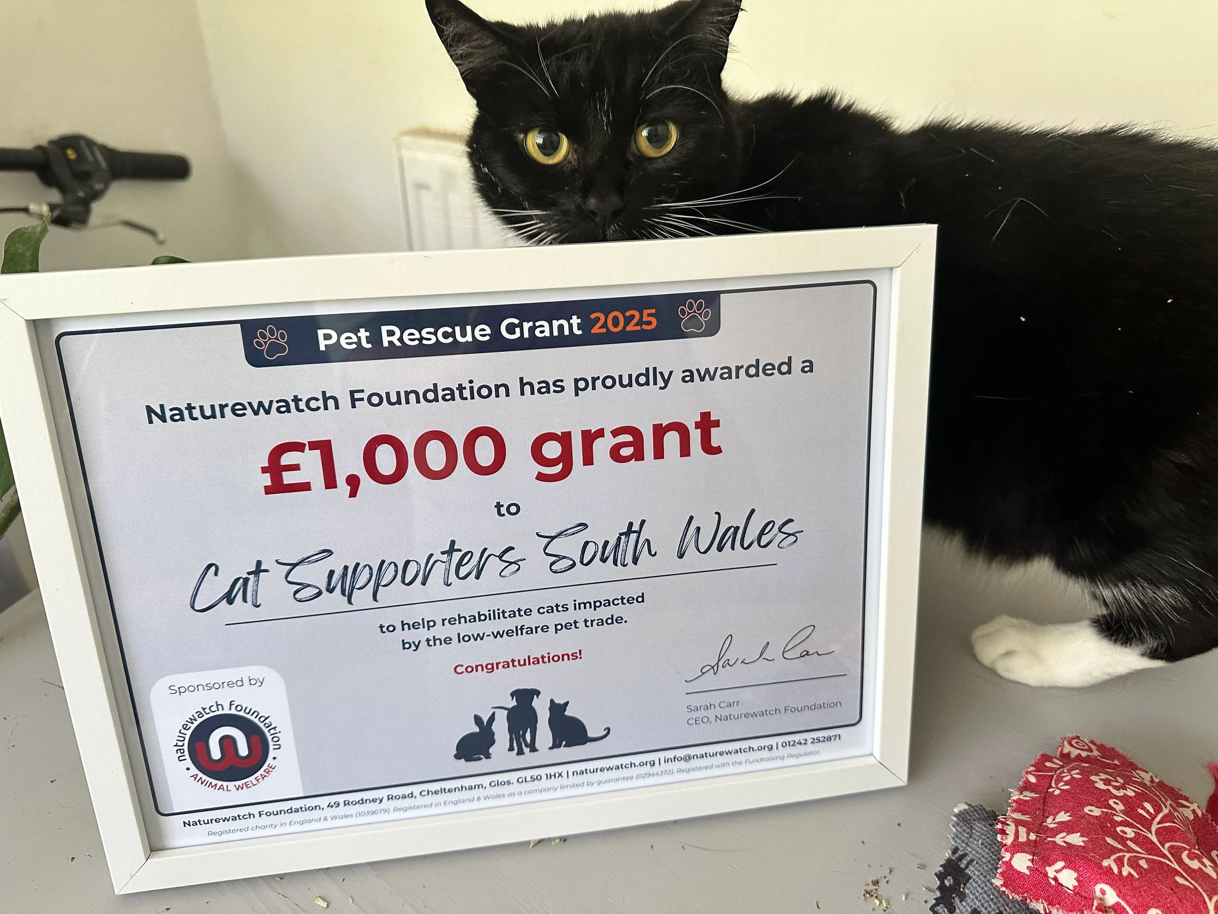 Cheltenham charity’s Pet Rescue Grant gives 52 animals a second chance