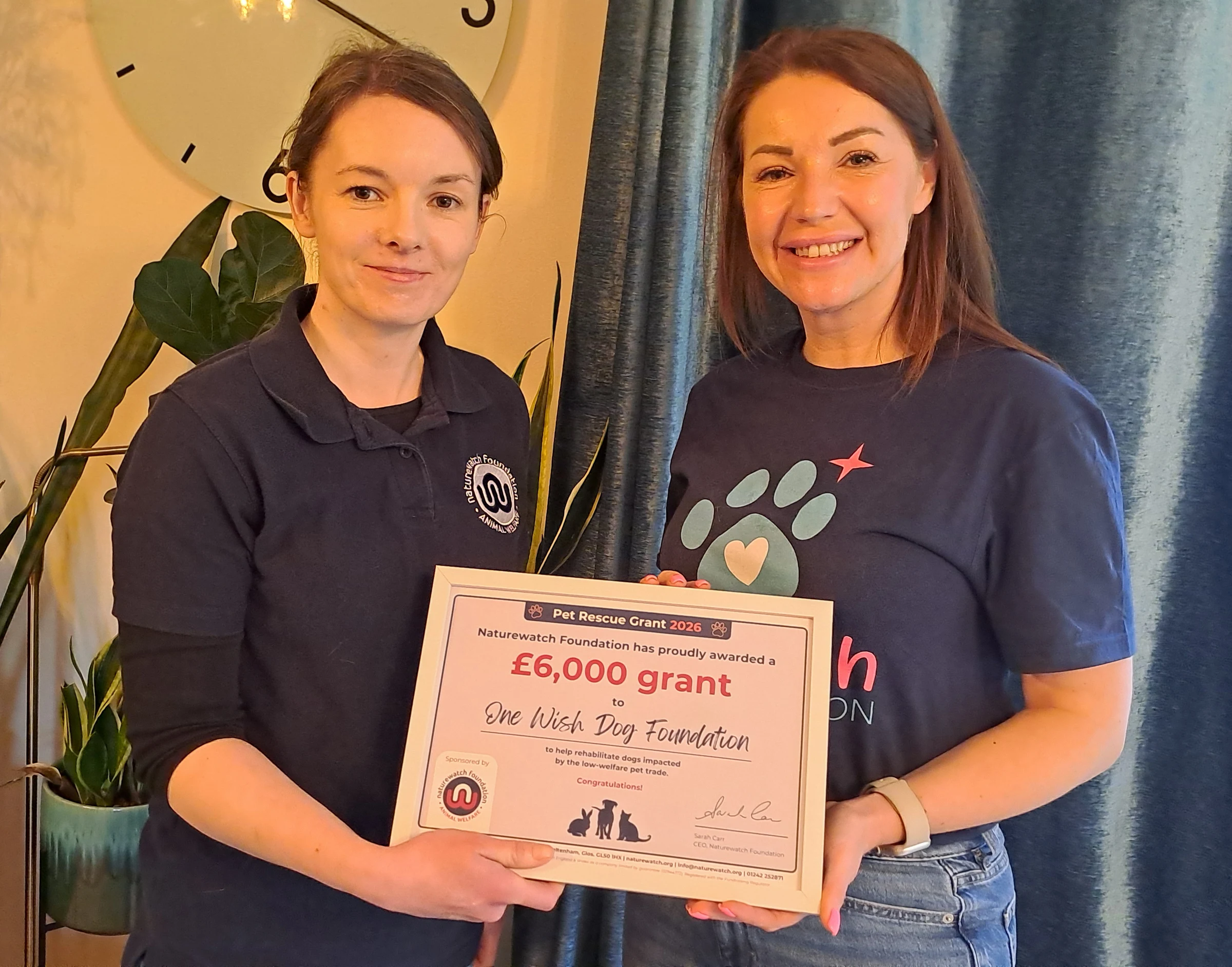 Record 161 Rescues Apply as Grants Awarded to Tackle UK Pet Trade Crisis
