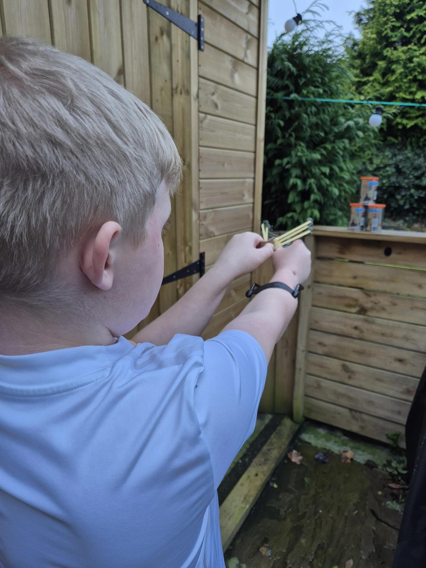 Children Can Legally Buy Weapons Used to Kill Wildlife, MPs Warned