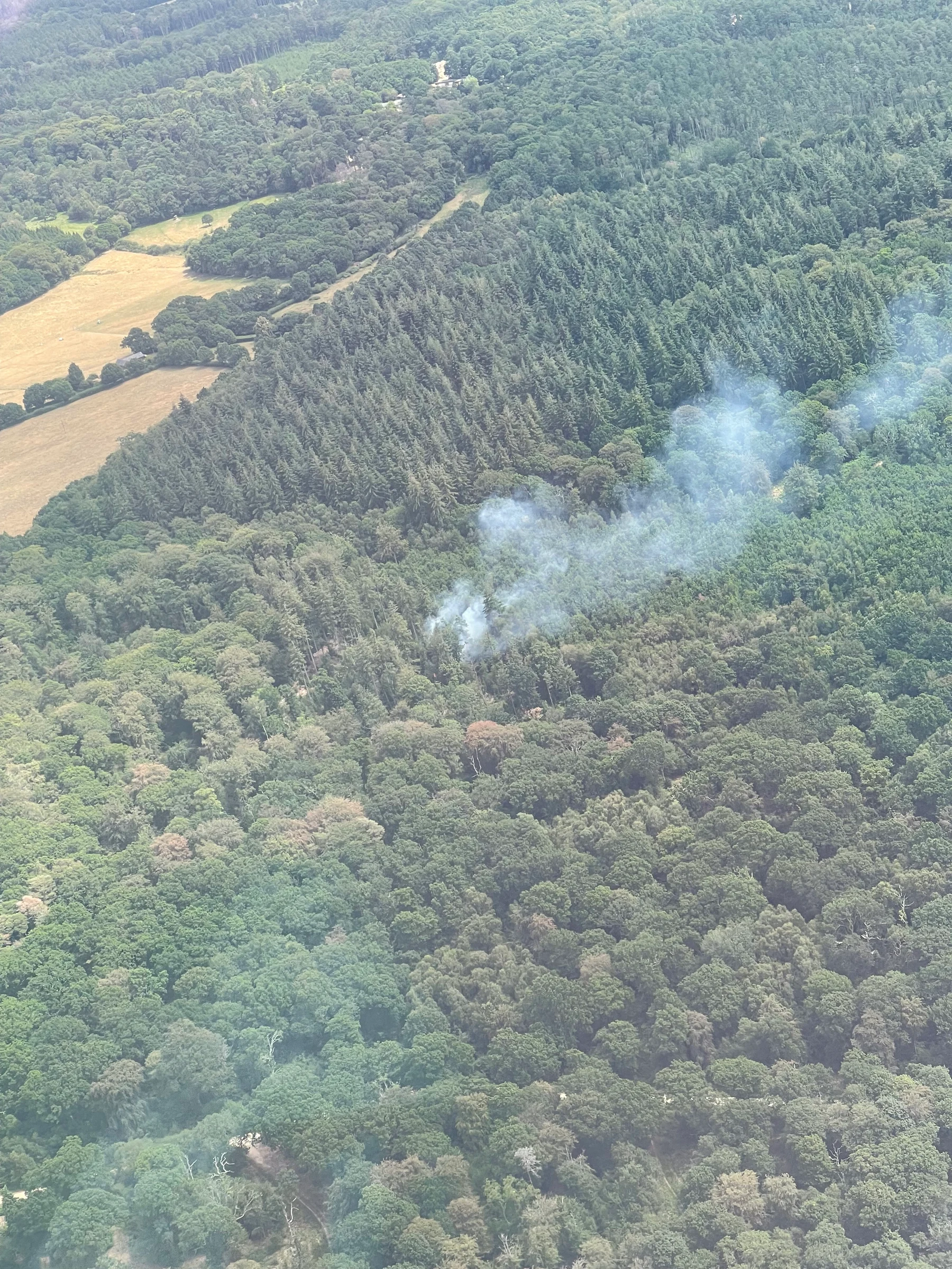 Volunteer pilots spot two potentially dangerous wildfires in just one week during UK heatwave