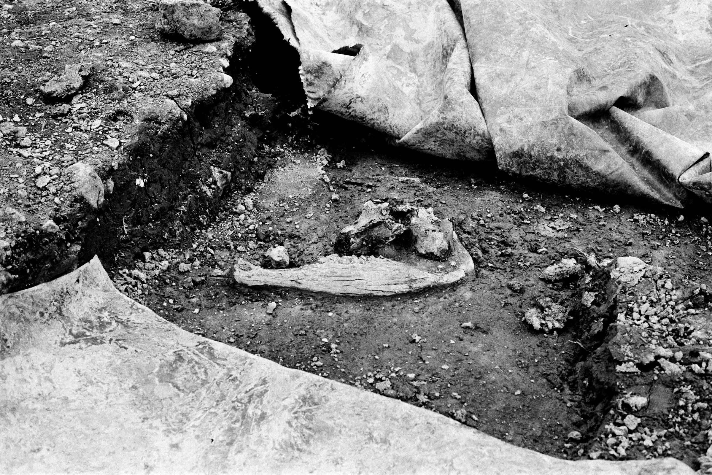Cnocán an Chuig (break), 2026, pigment print on archival photo paper. Christopher Steenson