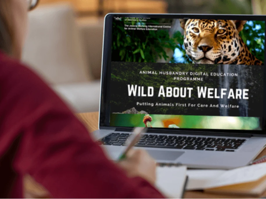 Animal Welfare Charity Celebrates Five Years of Groundbreaking Digital Education Programme
