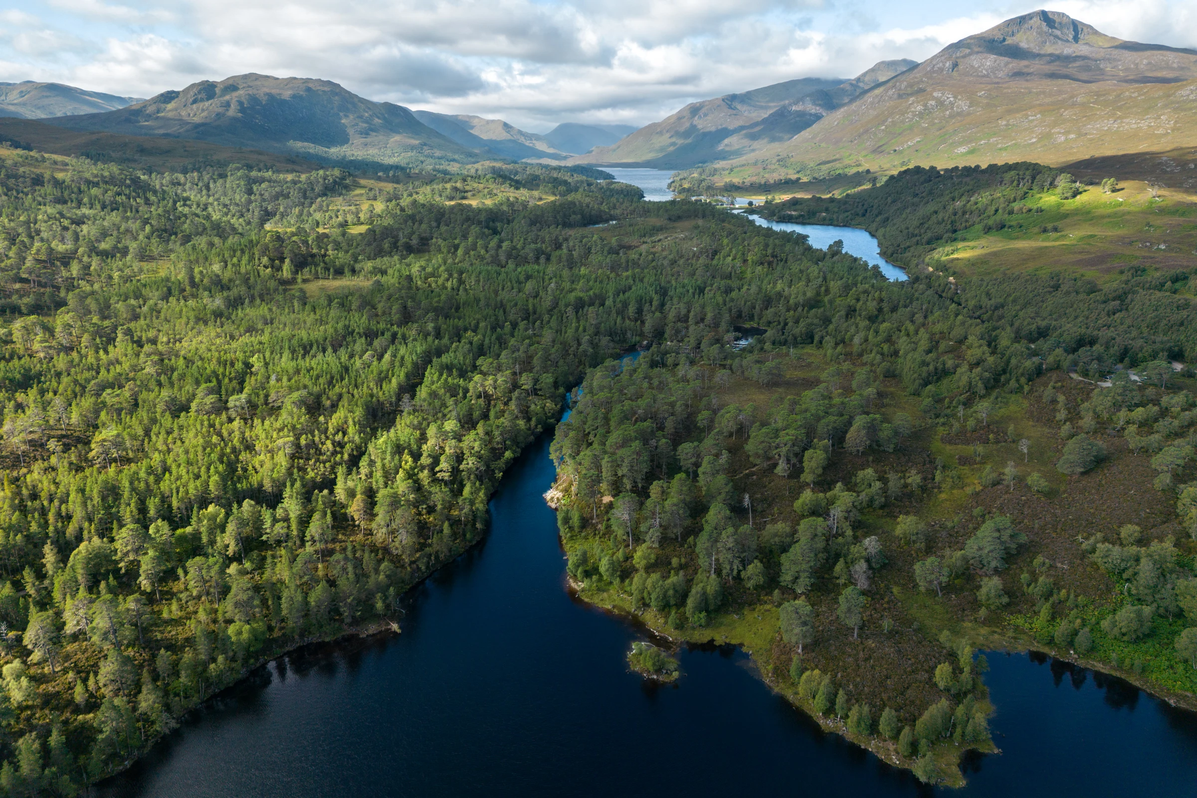 Glen Affric. Credit James Shooter Rewilding Europe.