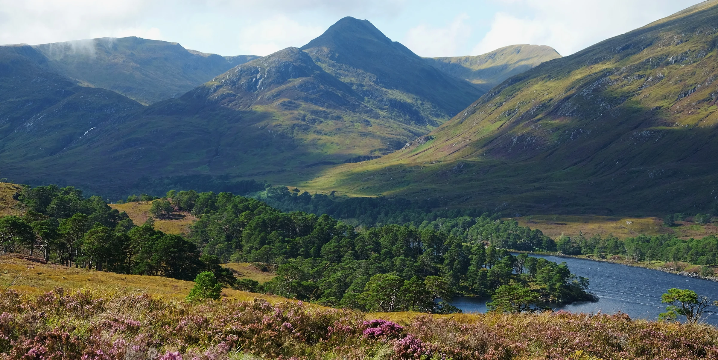 Glen Affric Credit_ Tom Gilpin