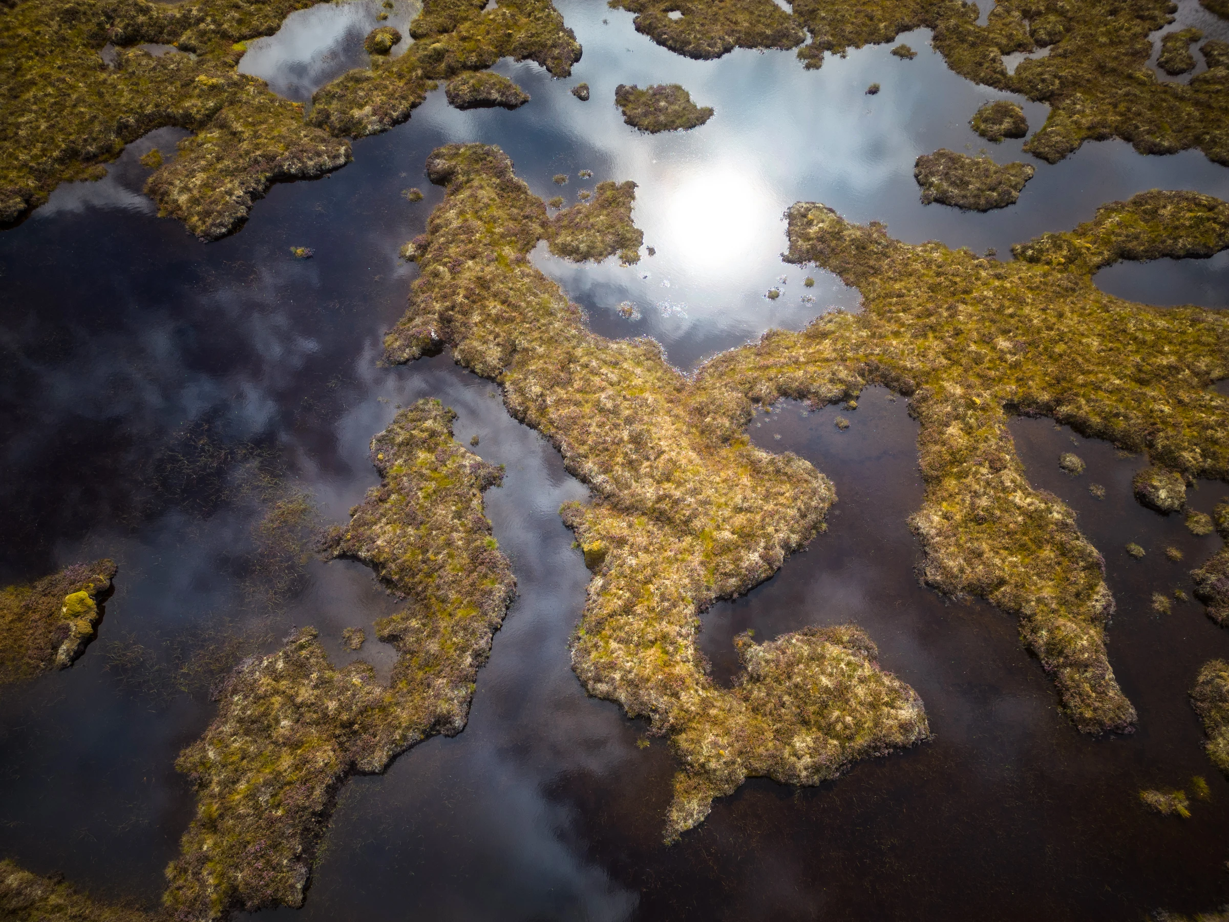 Peatland_credit James Shooter_Rewilding Europe_1