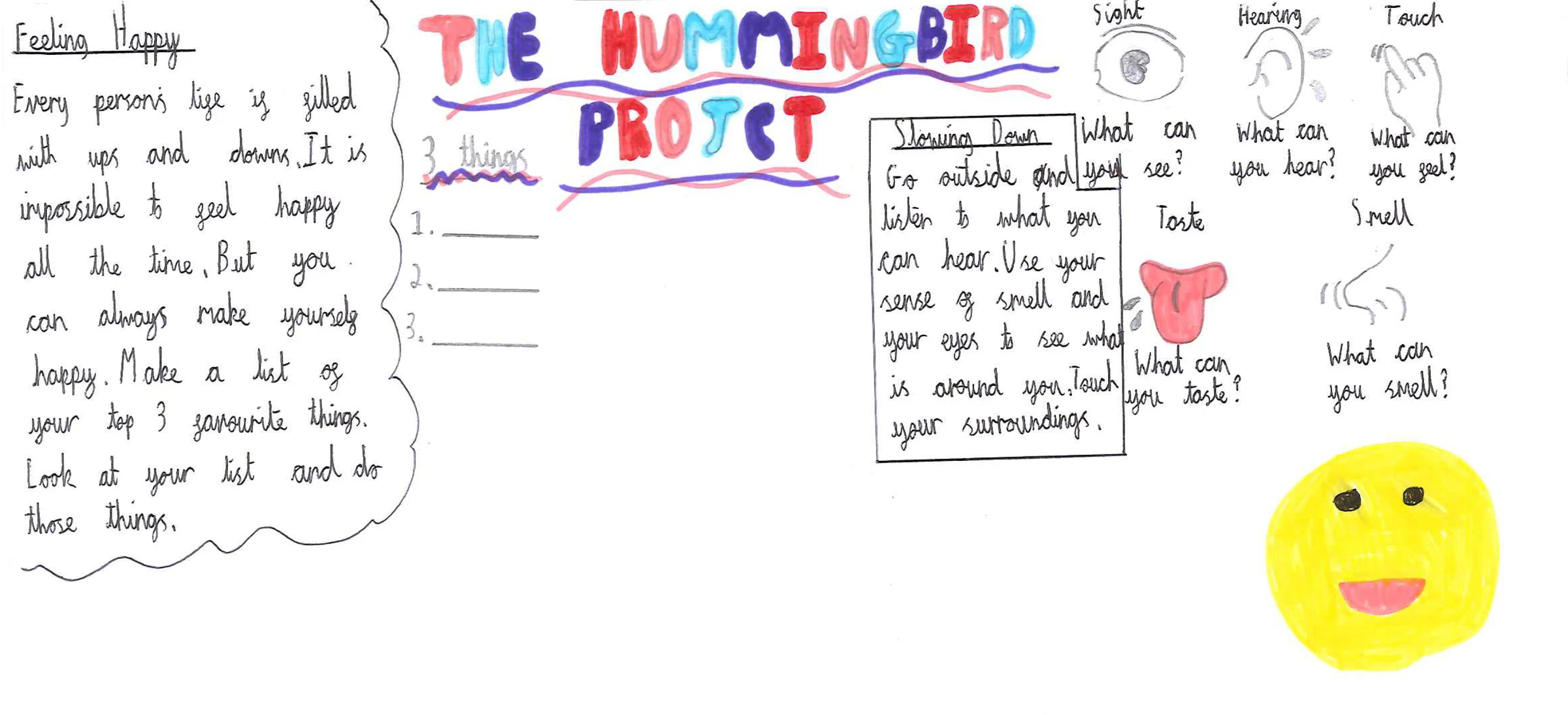A poster by a pupil at Haslam Park Primary School in Bolton, reflecting on the Hummingbird Project