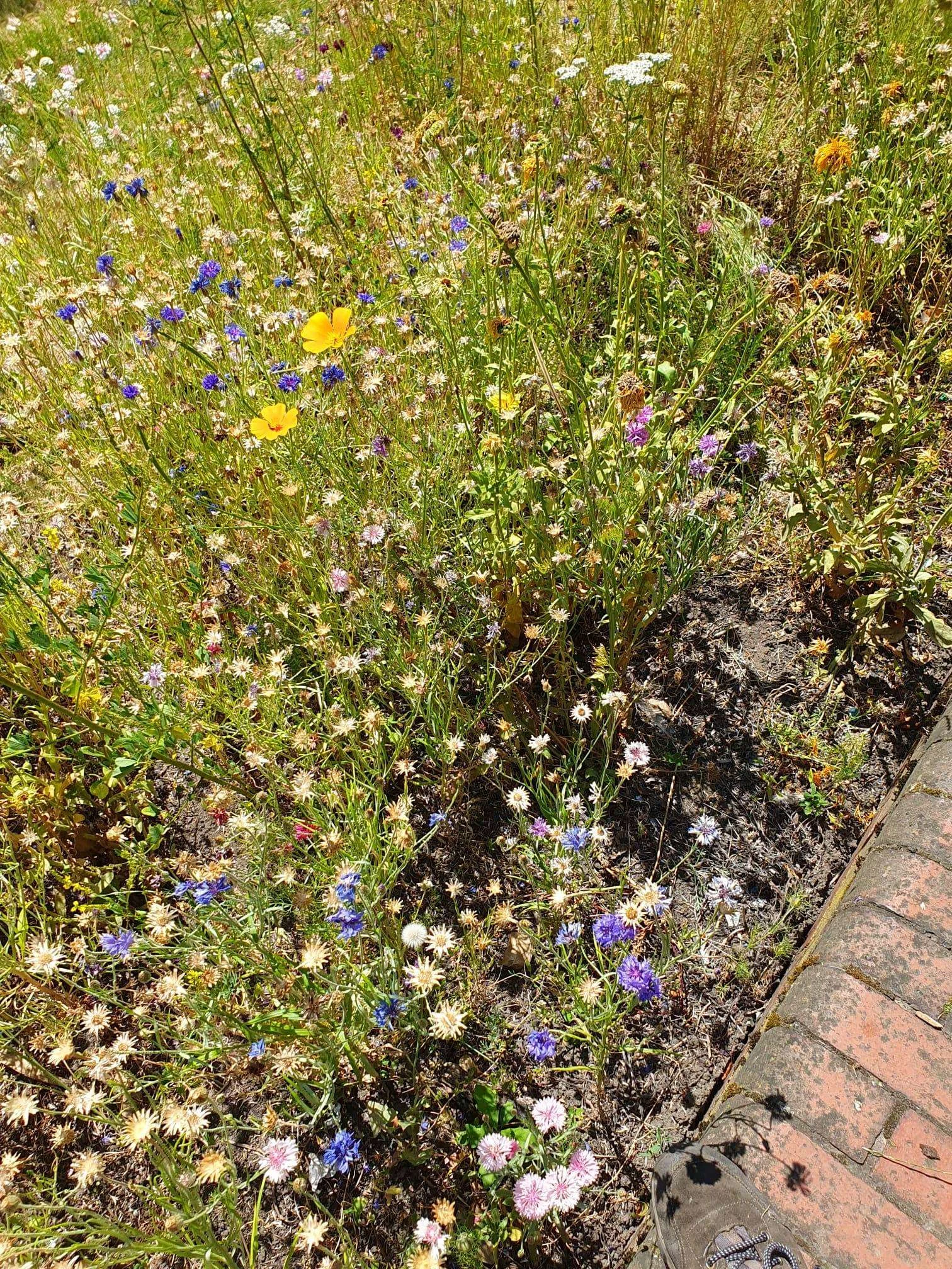 CleanupUK Love Nature Pick Litter- Litter Pick Hanover Park Square- Leeds- Clean Flower Bed