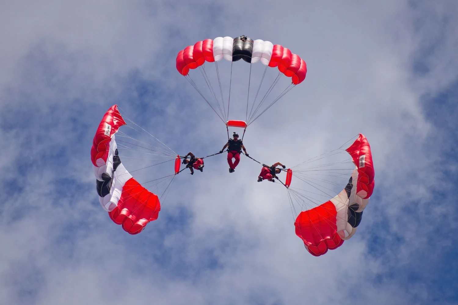 Southport Flying High With Excitement As Red Devils Set To Soar Into Flower Show