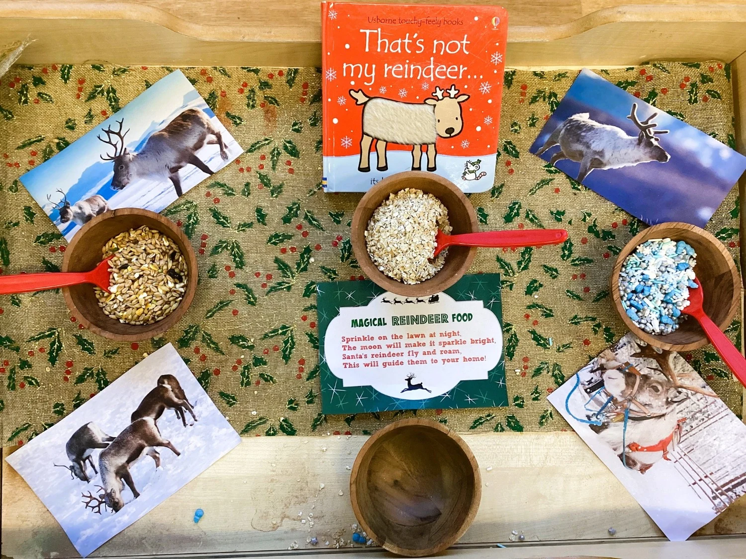 Harrogate nursery’s 12 Days of Christmas supports local hospice