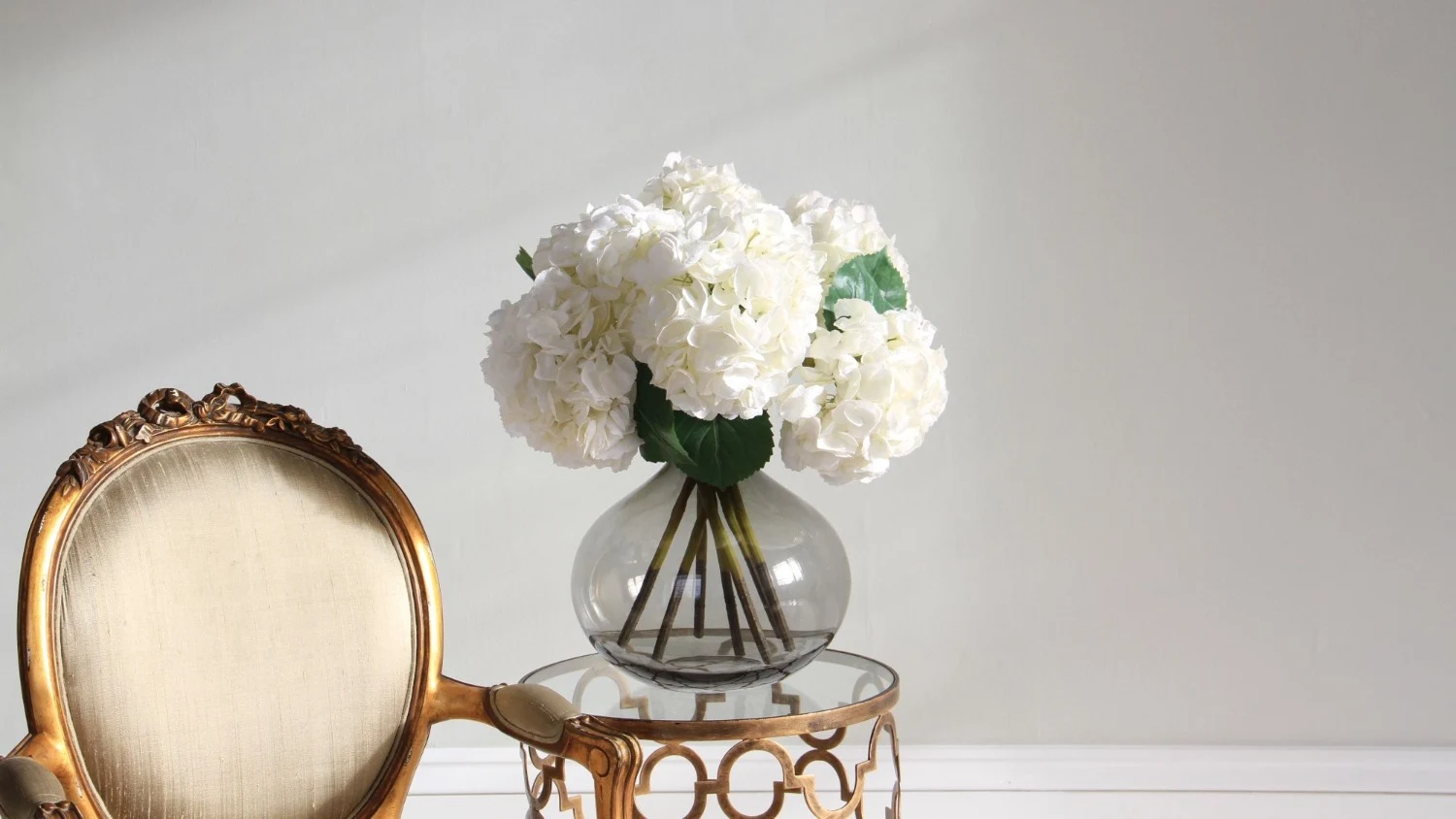 From Traditional to Contemporary: White Hydrangeas Win Over the Nation