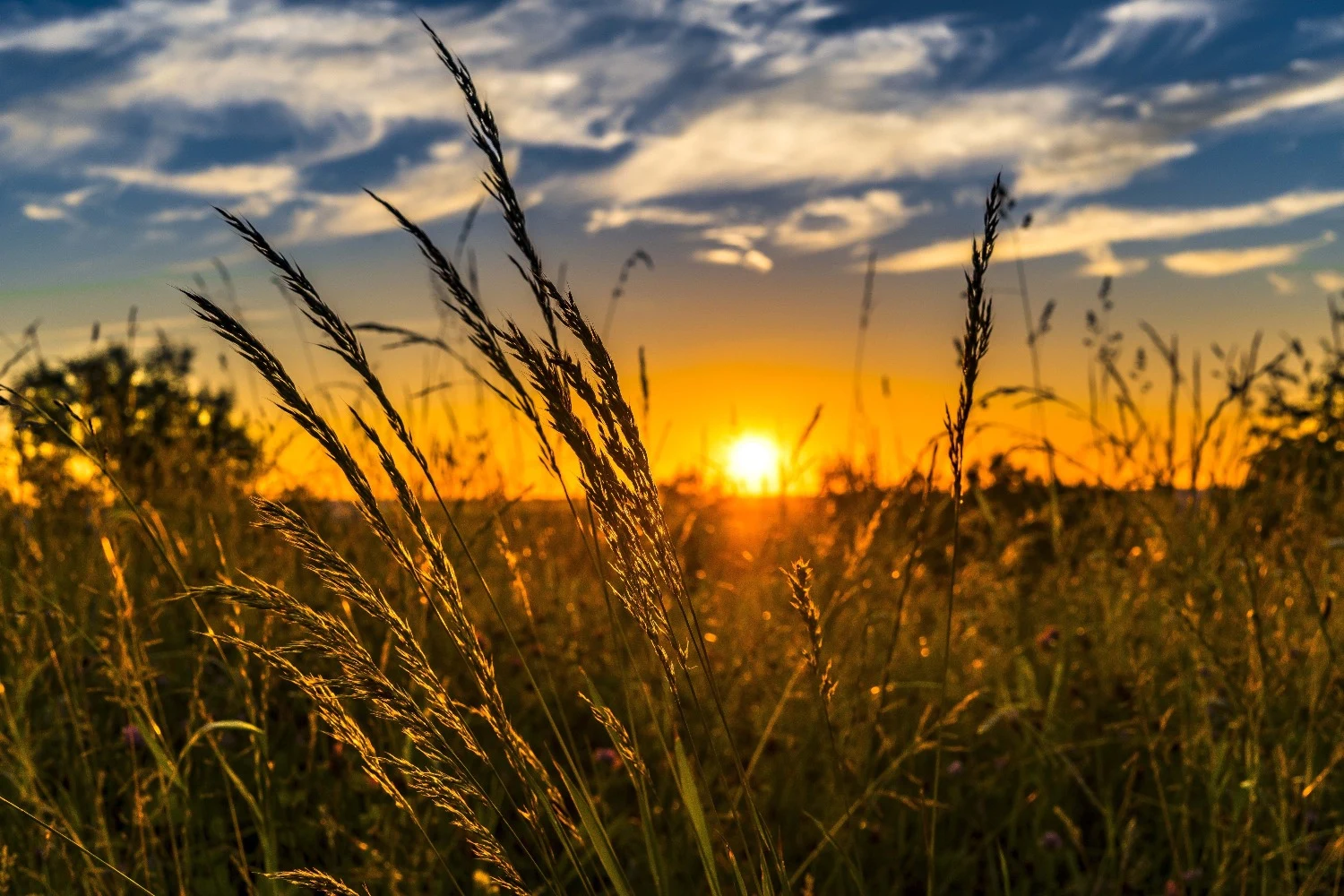 From Harvest to Hospitality: How Britain’s farms are reinventing themselves