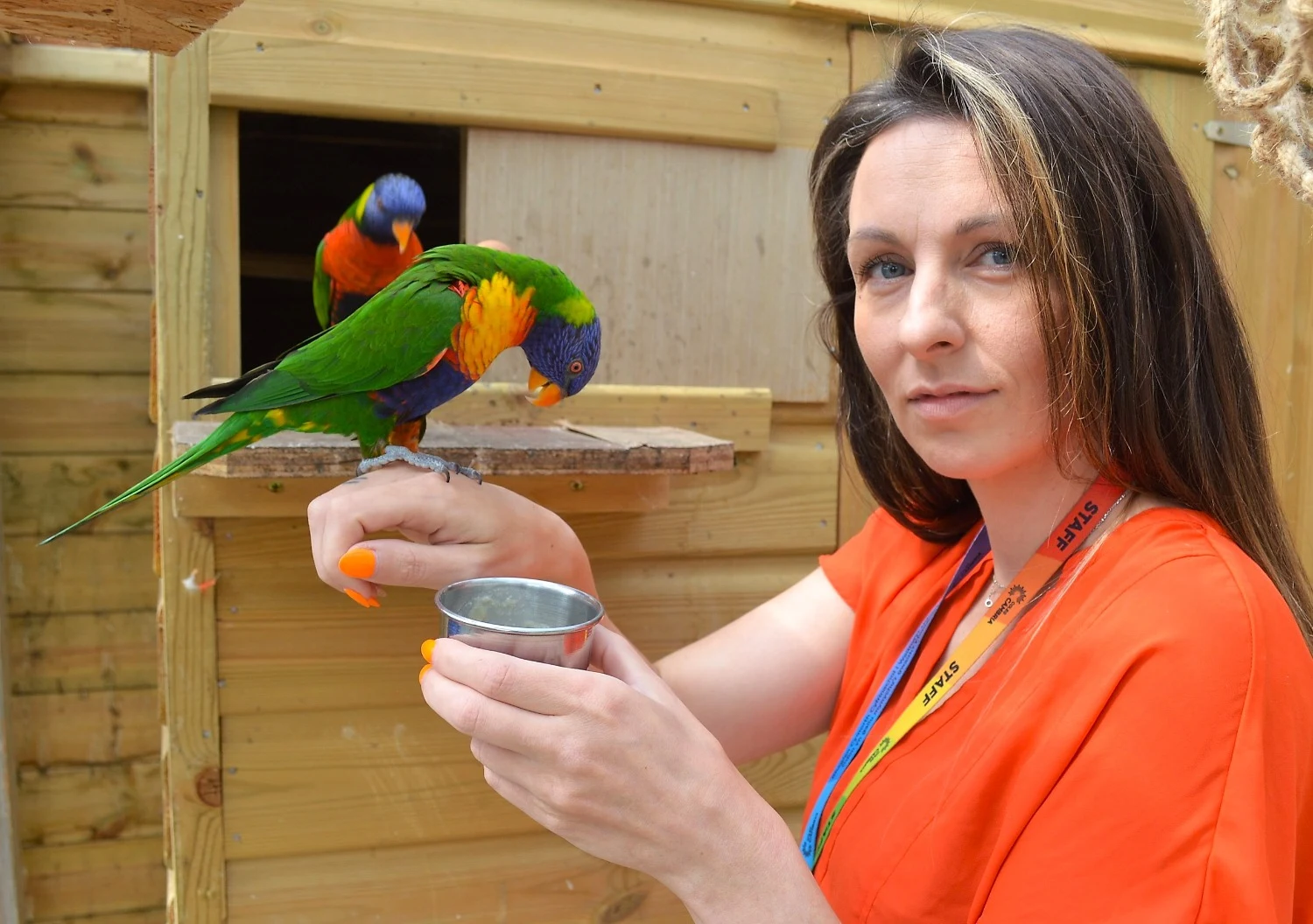 North Wales village draws students nationwide for animal studies
