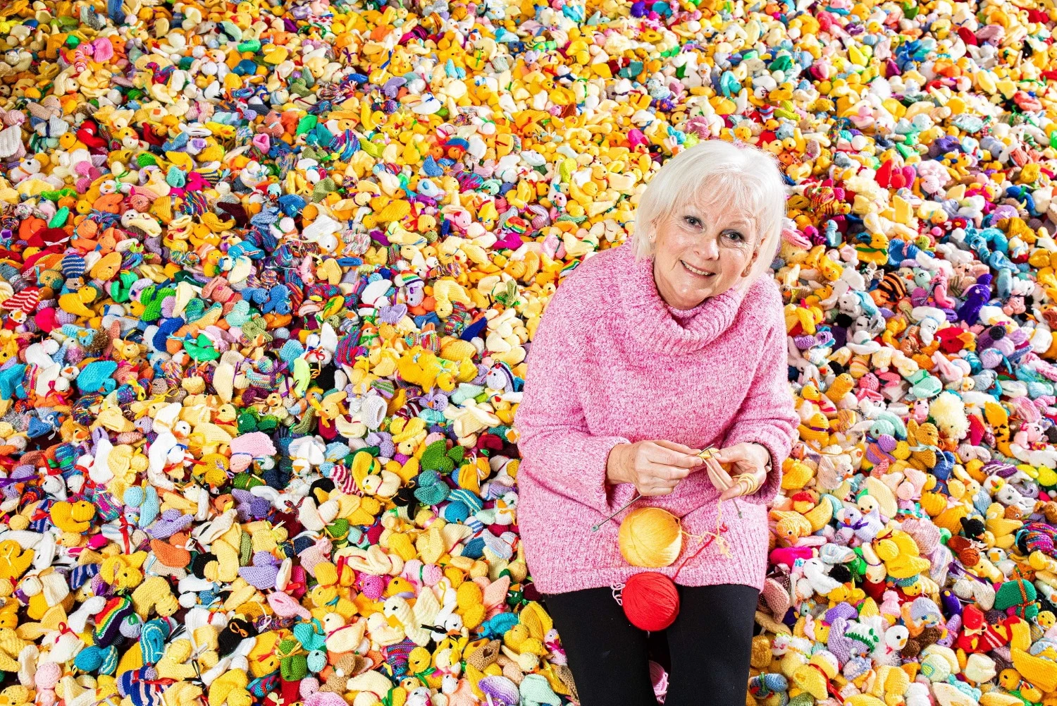 32,000 knitted chicks bring Easter cheer to Francis House Children’s Hospice