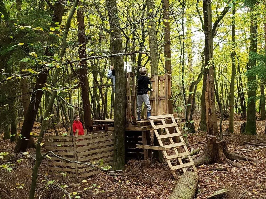 Six Weeks of Summer - How Forest Schools Can Help Families Survive the Long Holidays