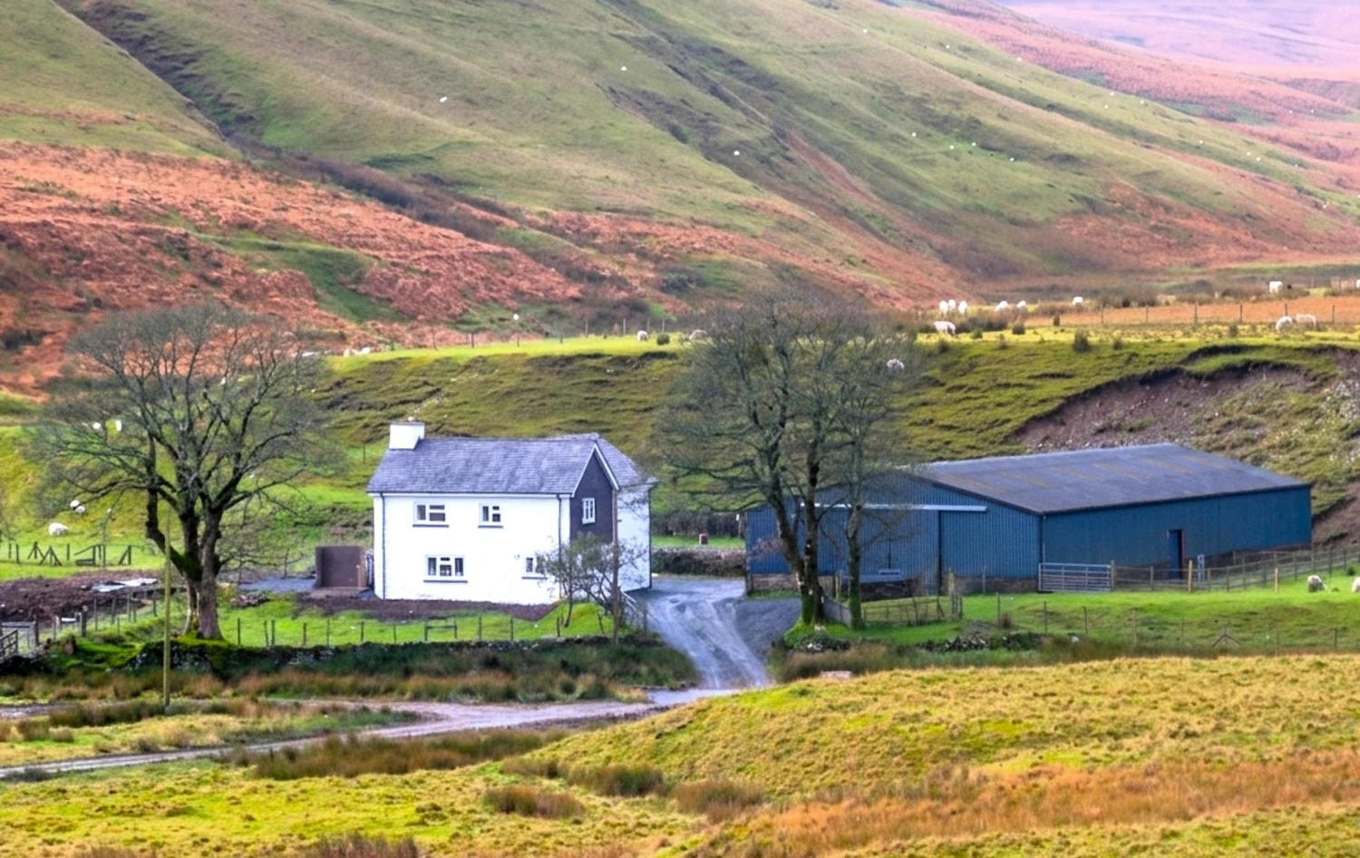 New farm opportunities signal investment in Welsh rural economy