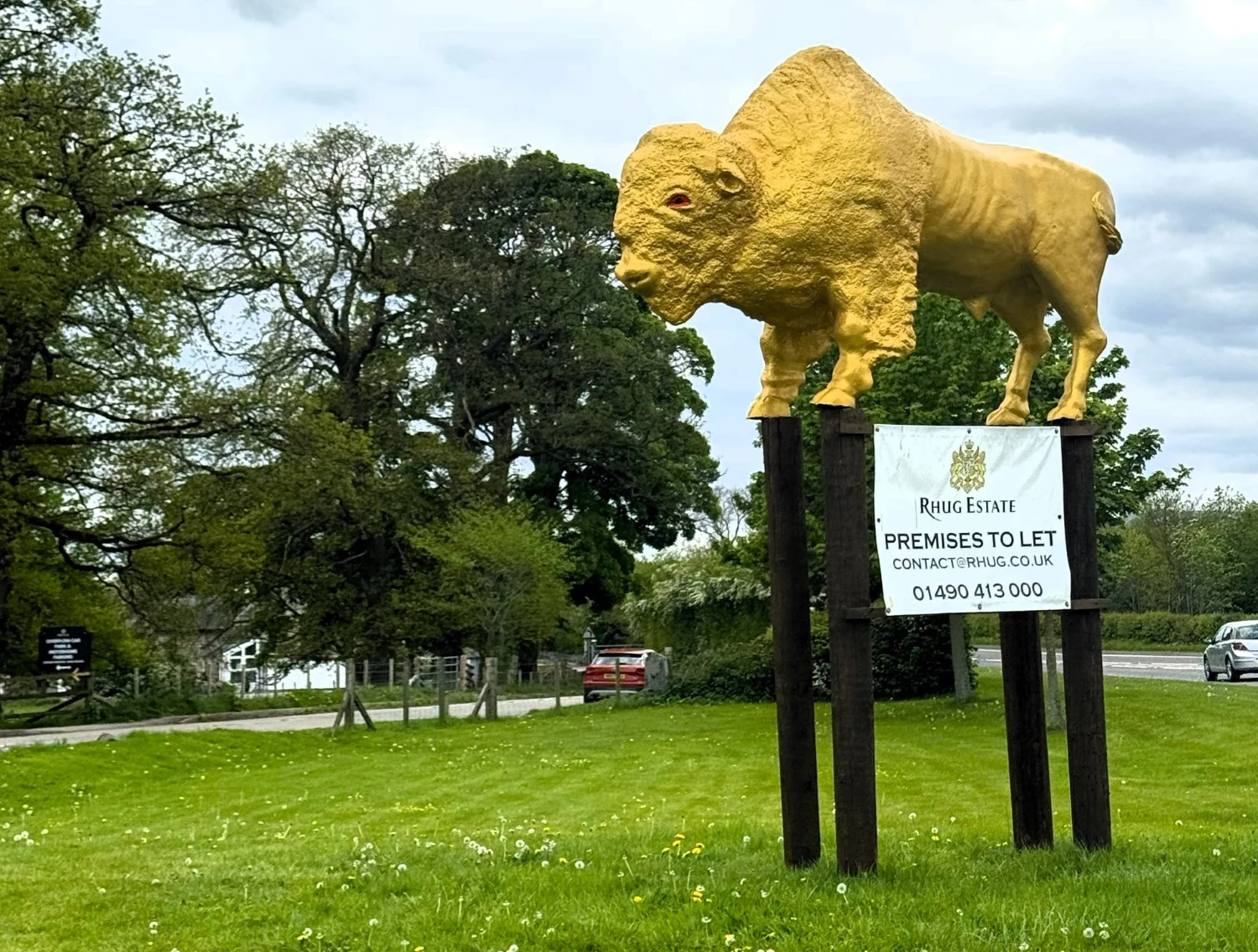Gold Standard: 12,500 acre organic farm estate gives iconic bison dazzling new look